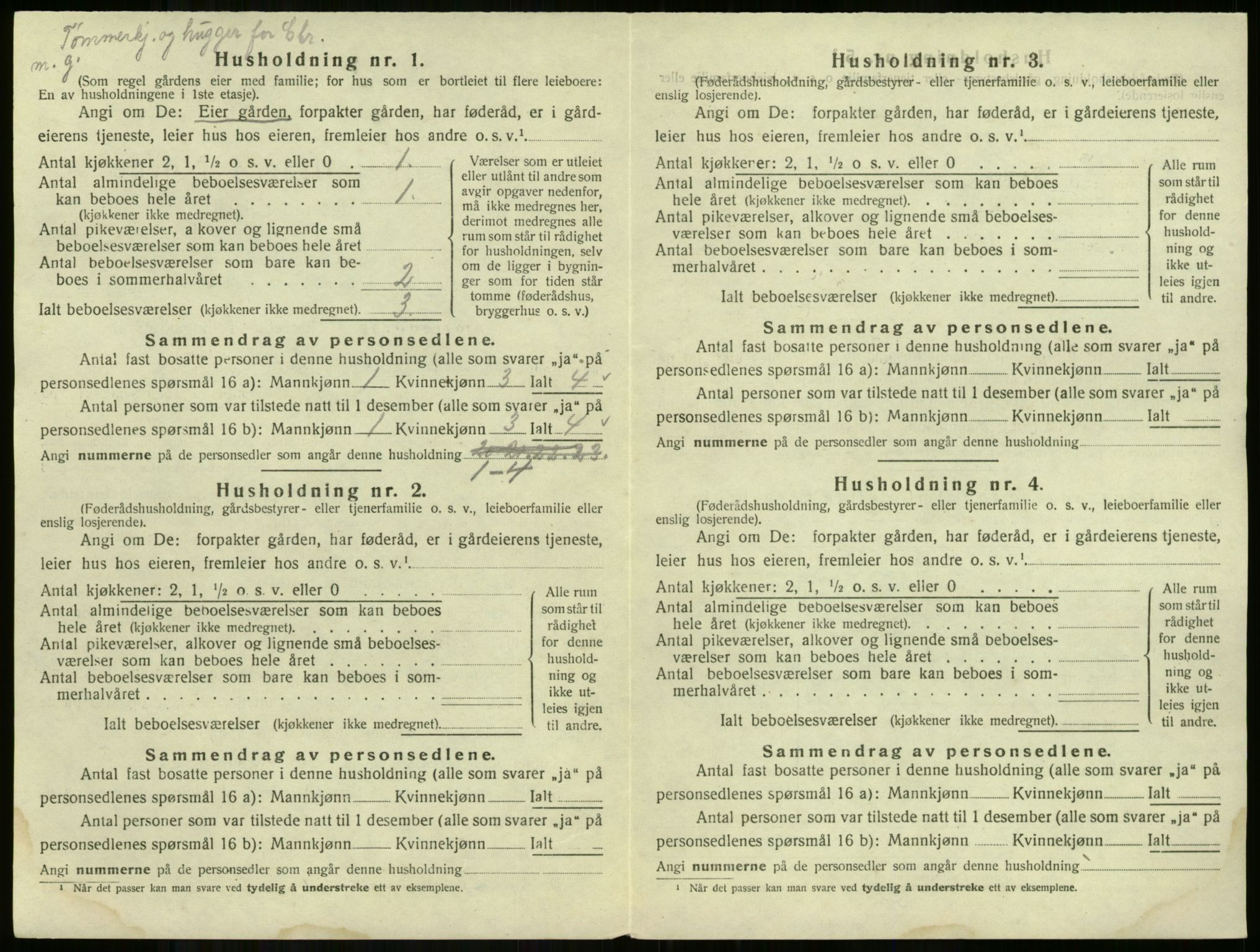 SAKO, 1920 census for Flå, 1920, p. 37