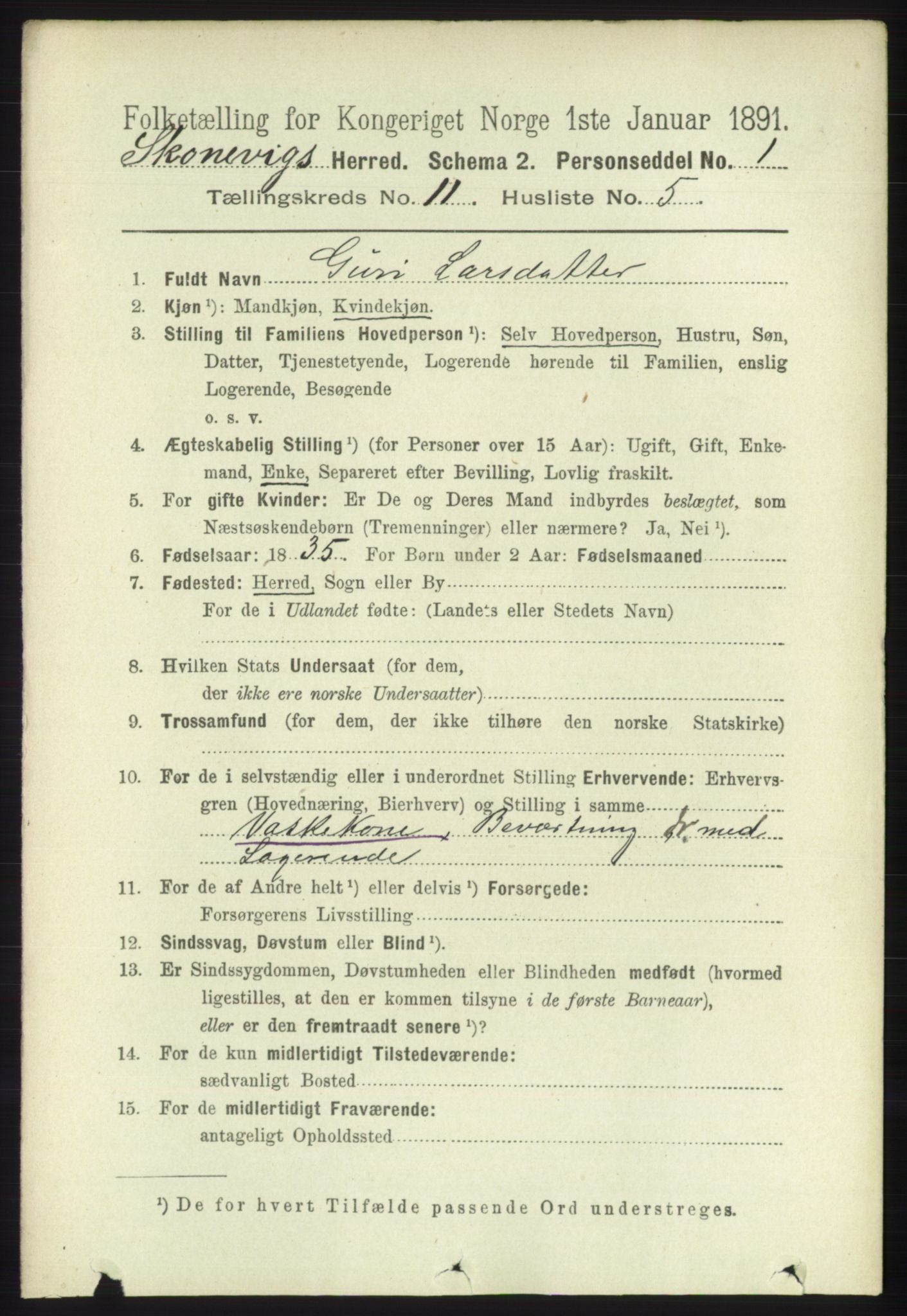 RA, 1891 census for 1212 Skånevik, 1891, p. 3355