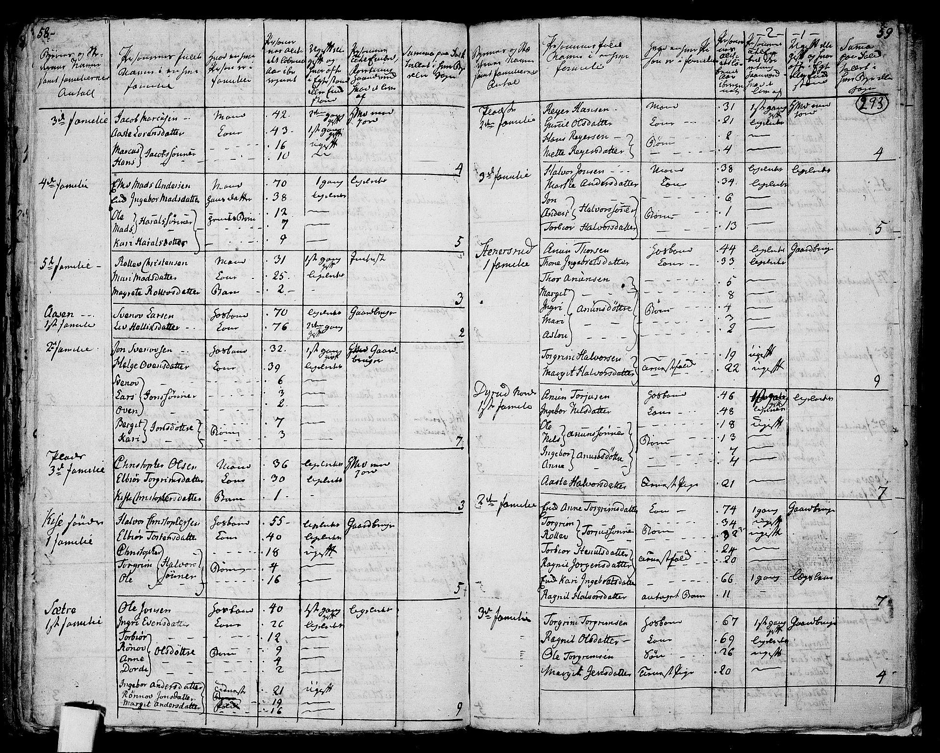 RA, 1801 census for 0822P Sauherad, 1801, p. 292b-293a