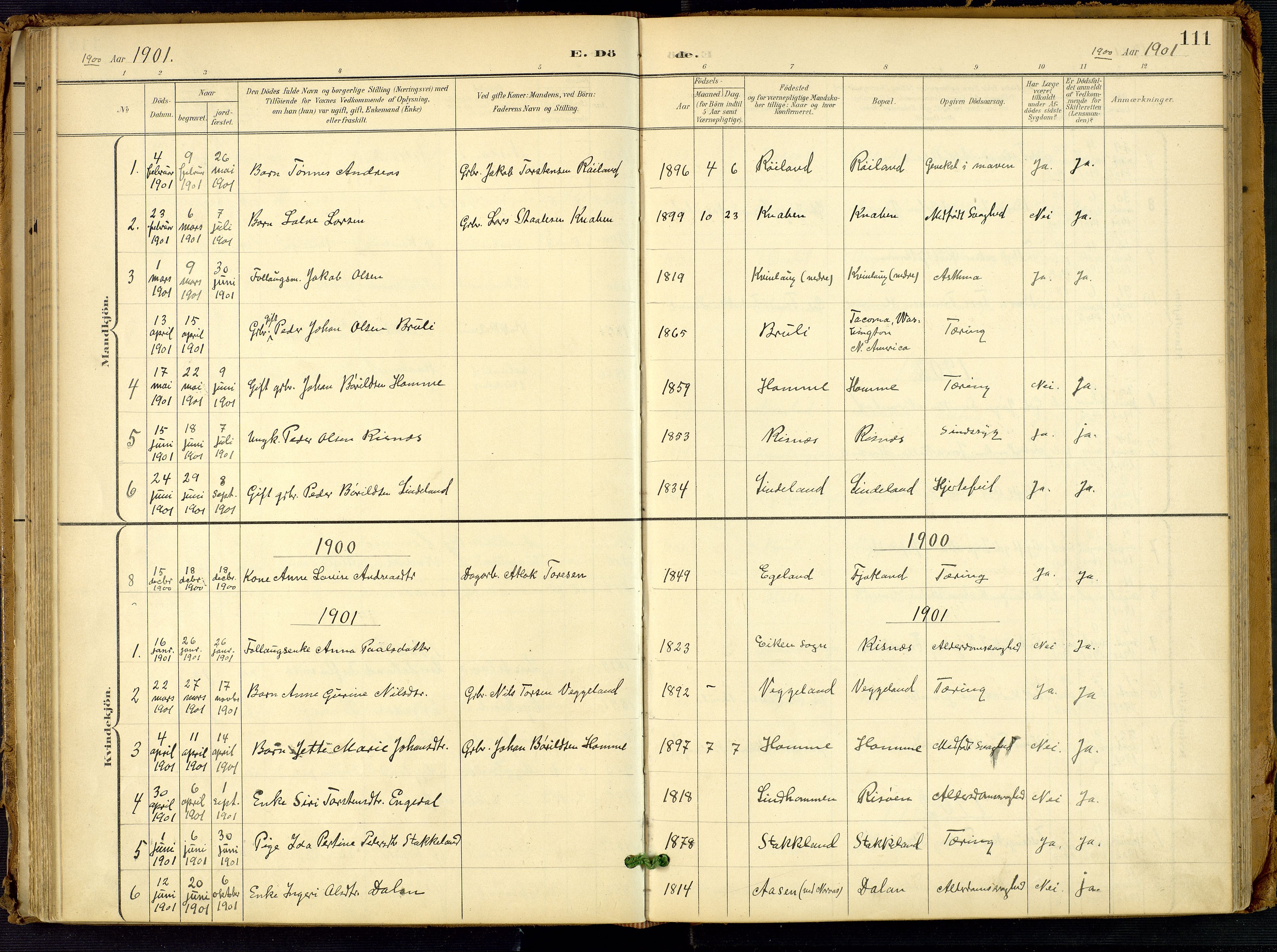 Fjotland sokneprestkontor, SAK/1111-0010/F/Fa/L0003: Parish register (official) no. A 3, 1899-1917, p. 111