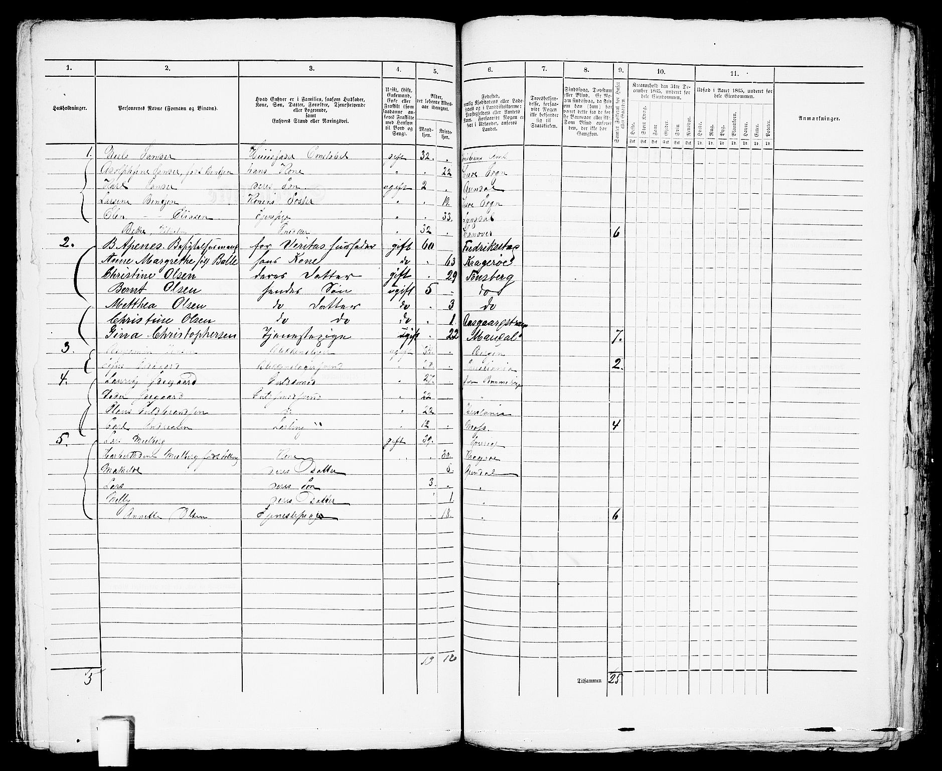 RA, 1865 census for Arendal, 1865, p. 244