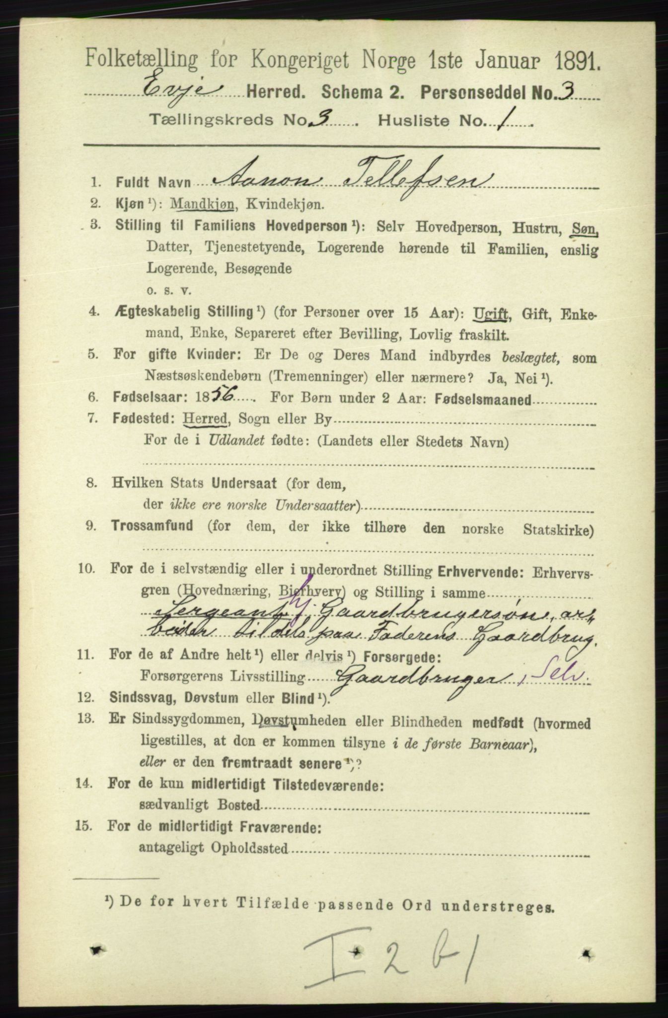 RA, 1891 census for 0937 Evje, 1891, p. 658