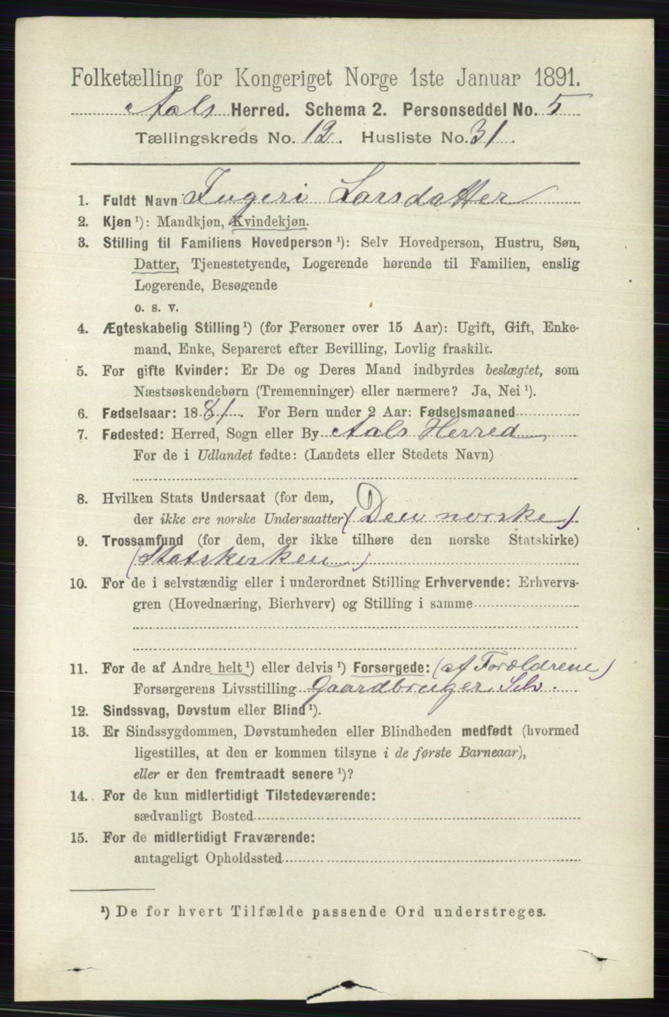 RA, 1891 census for 0619 Ål, 1891, p. 3187