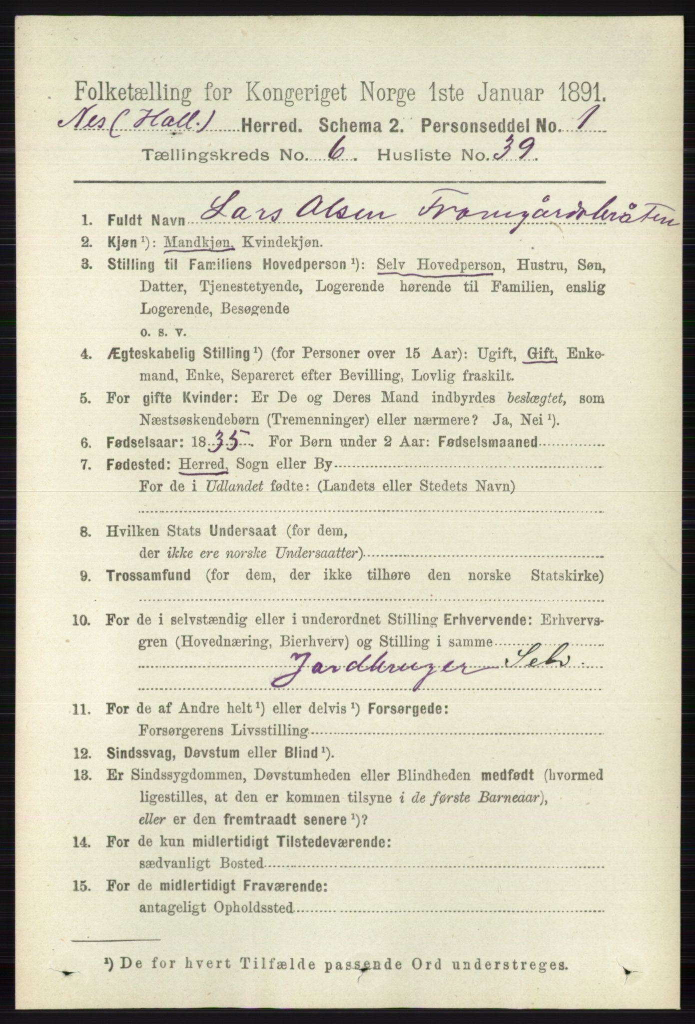 RA, 1891 census for 0616 Nes, 1891, p. 3255