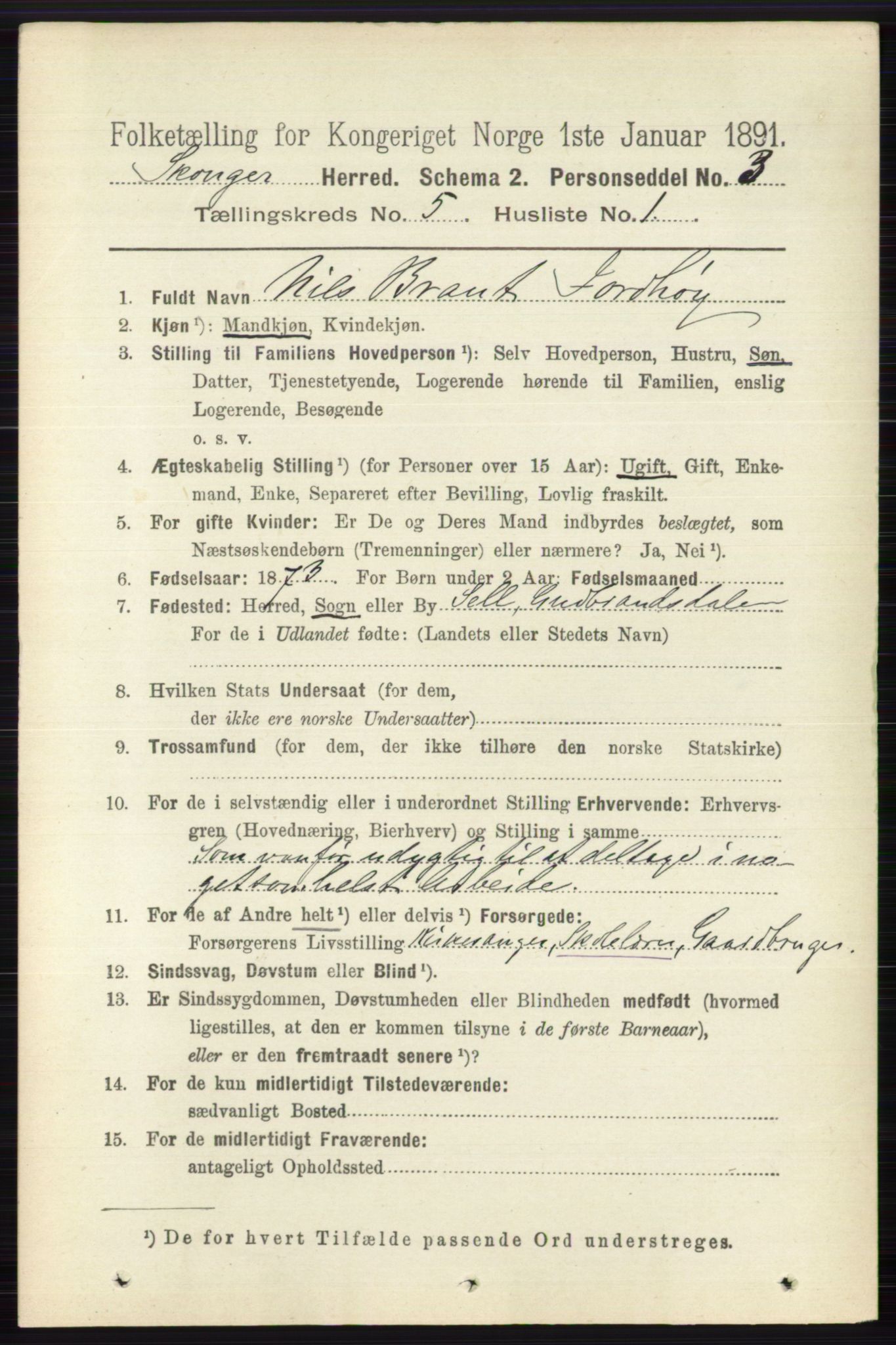 RA, 1891 census for 0712 Skoger, 1891, p. 3111