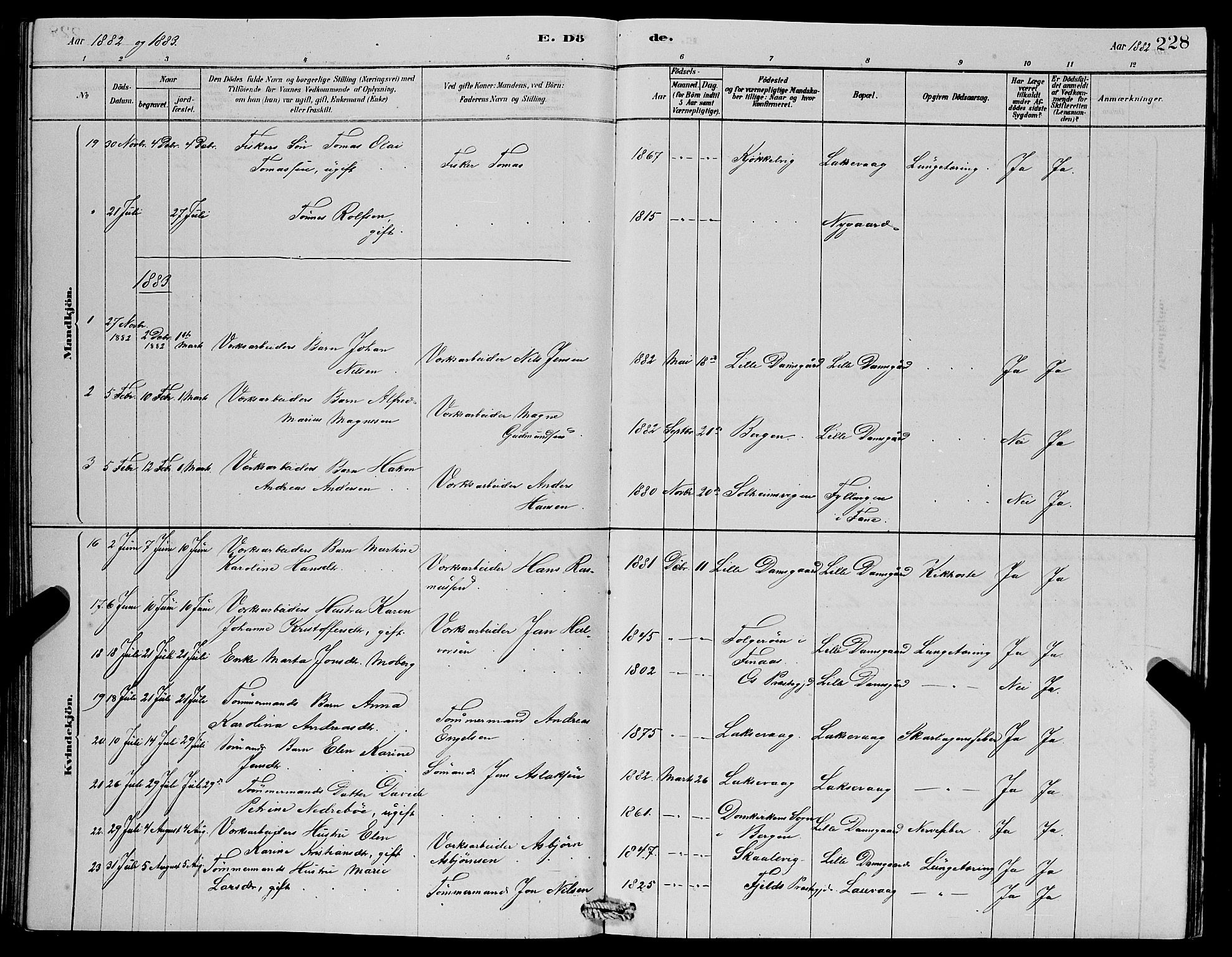 Laksevåg Sokneprestembete, AV/SAB-A-76501/H/Ha/Hab/Haba/L0002: Parish register (copy) no. A 2, 1877-1887, p. 228