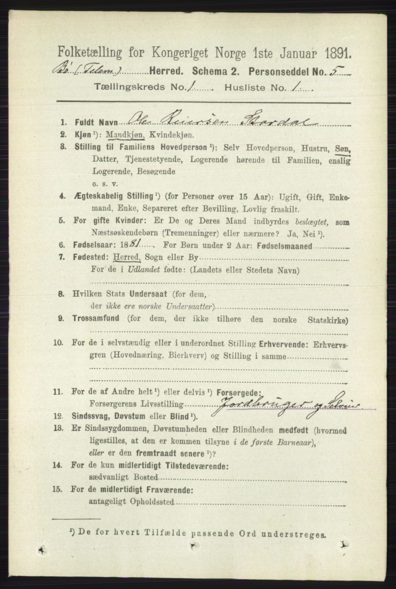 RA, 1891 census for 0821 Bø, 1891, p. 126