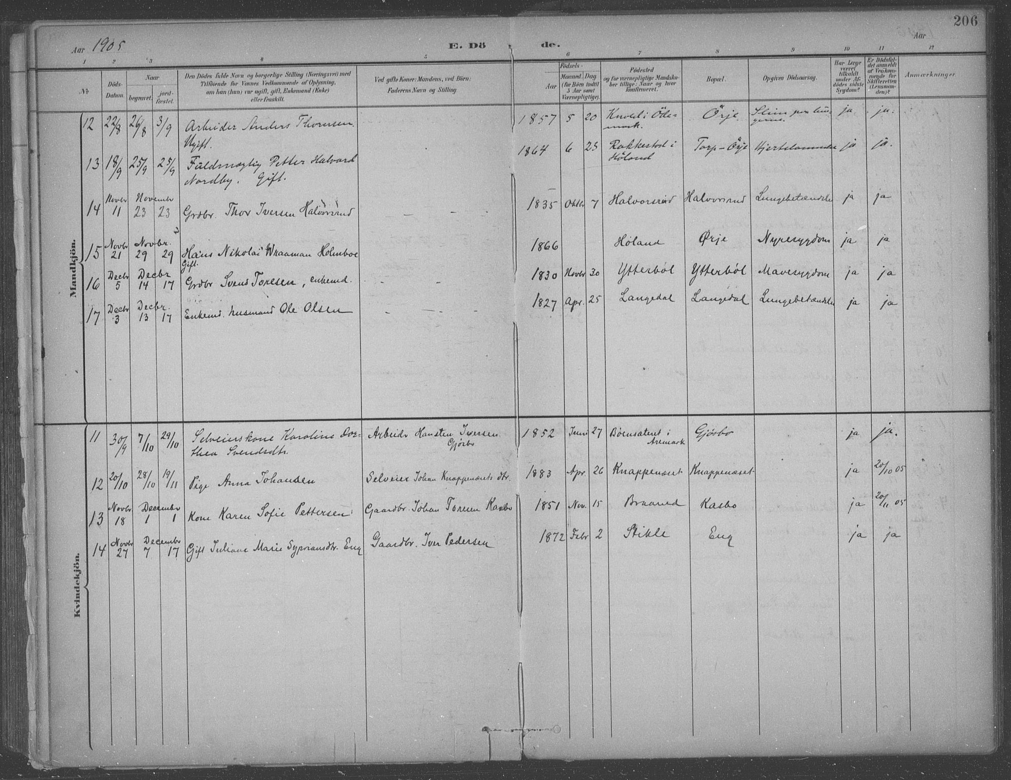 Aremark prestekontor Kirkebøker, SAO/A-10899/F/Fb/L0005: Parish register (official) no. II 5, 1895-1919, p. 206