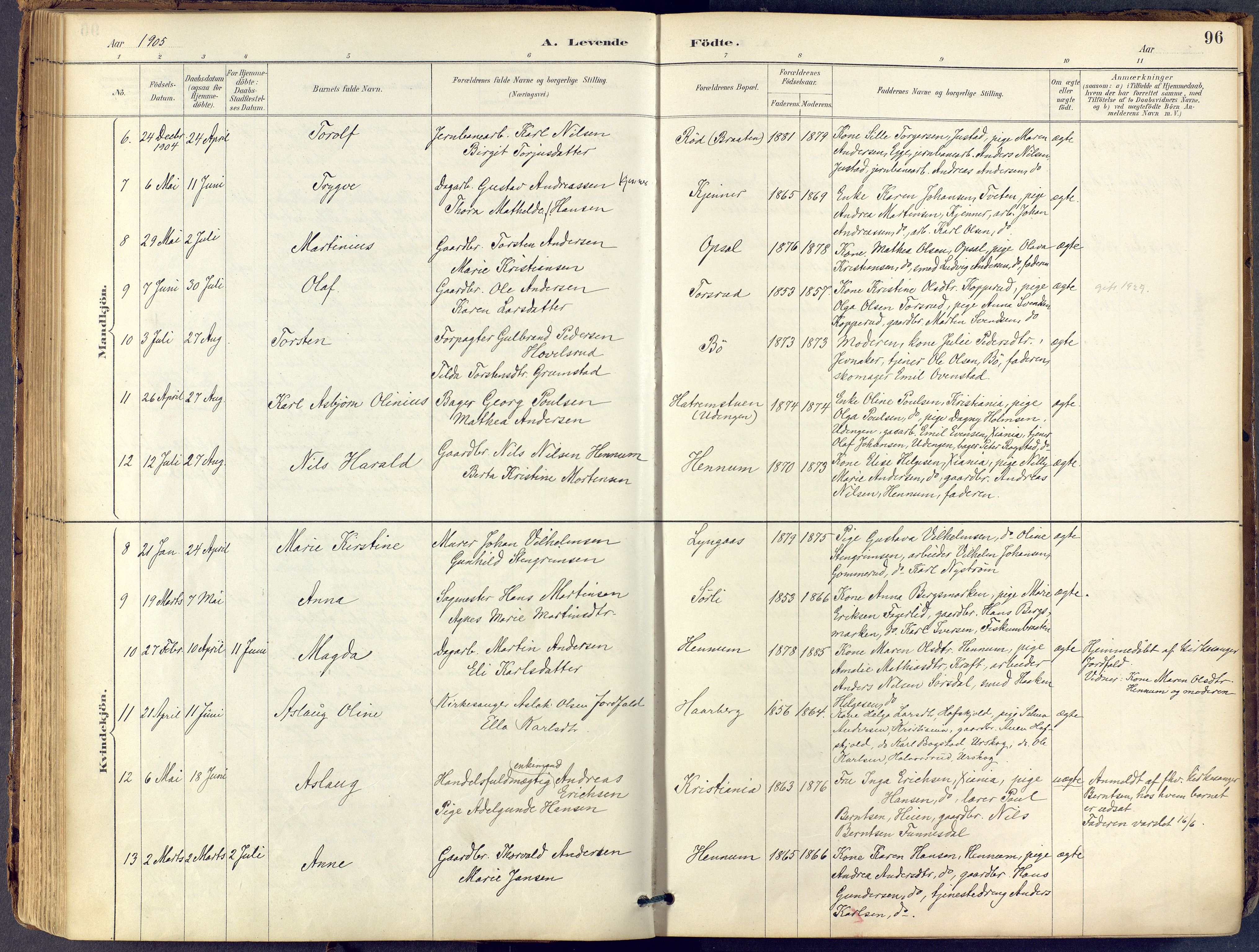 Lier kirkebøker, SAKO/A-230/F/Fb/L0001: Parish register (official) no. II 1, 1883-1910, p. 96