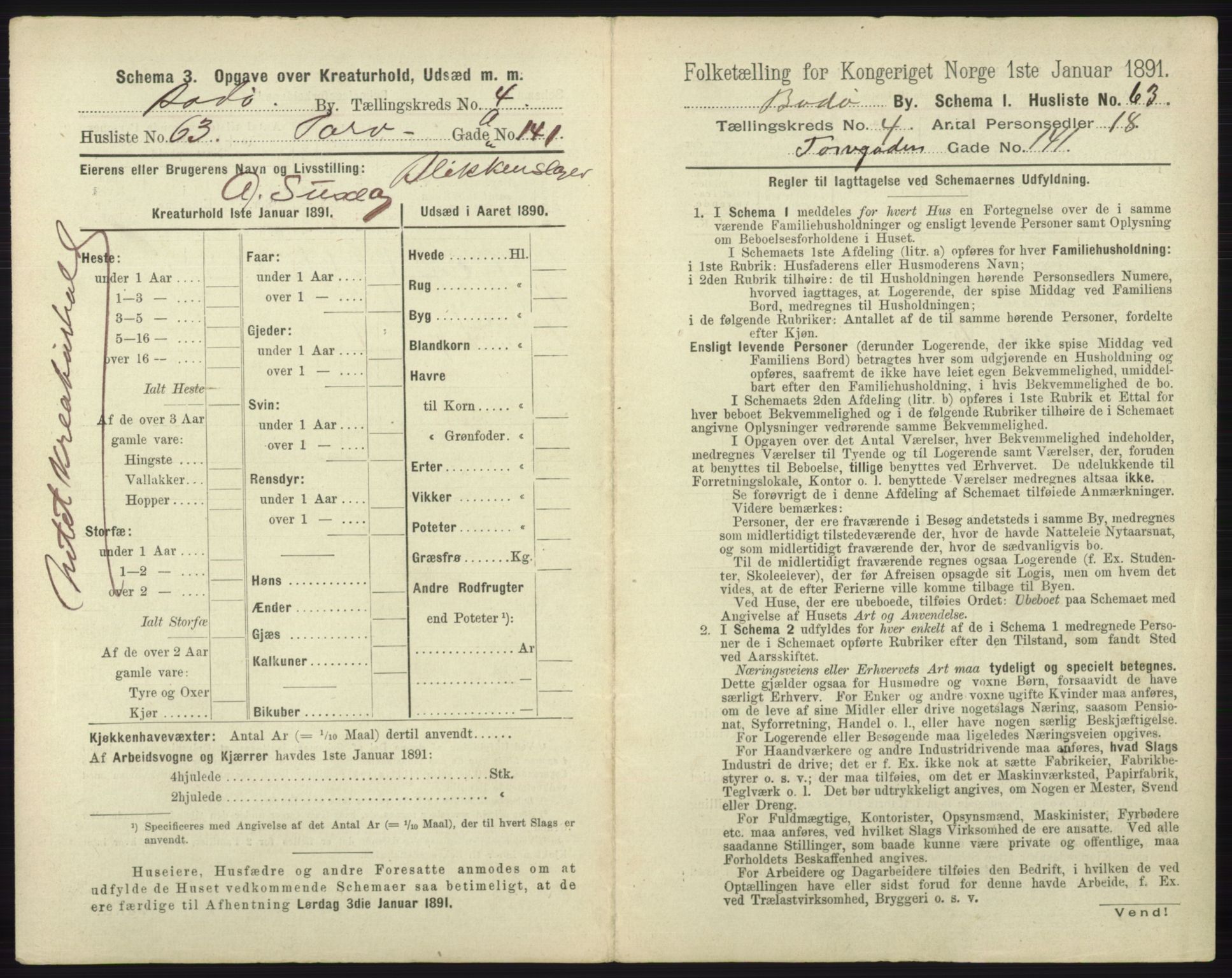 RA, 1891 census for 1804 Bodø, 1891, p. 3013