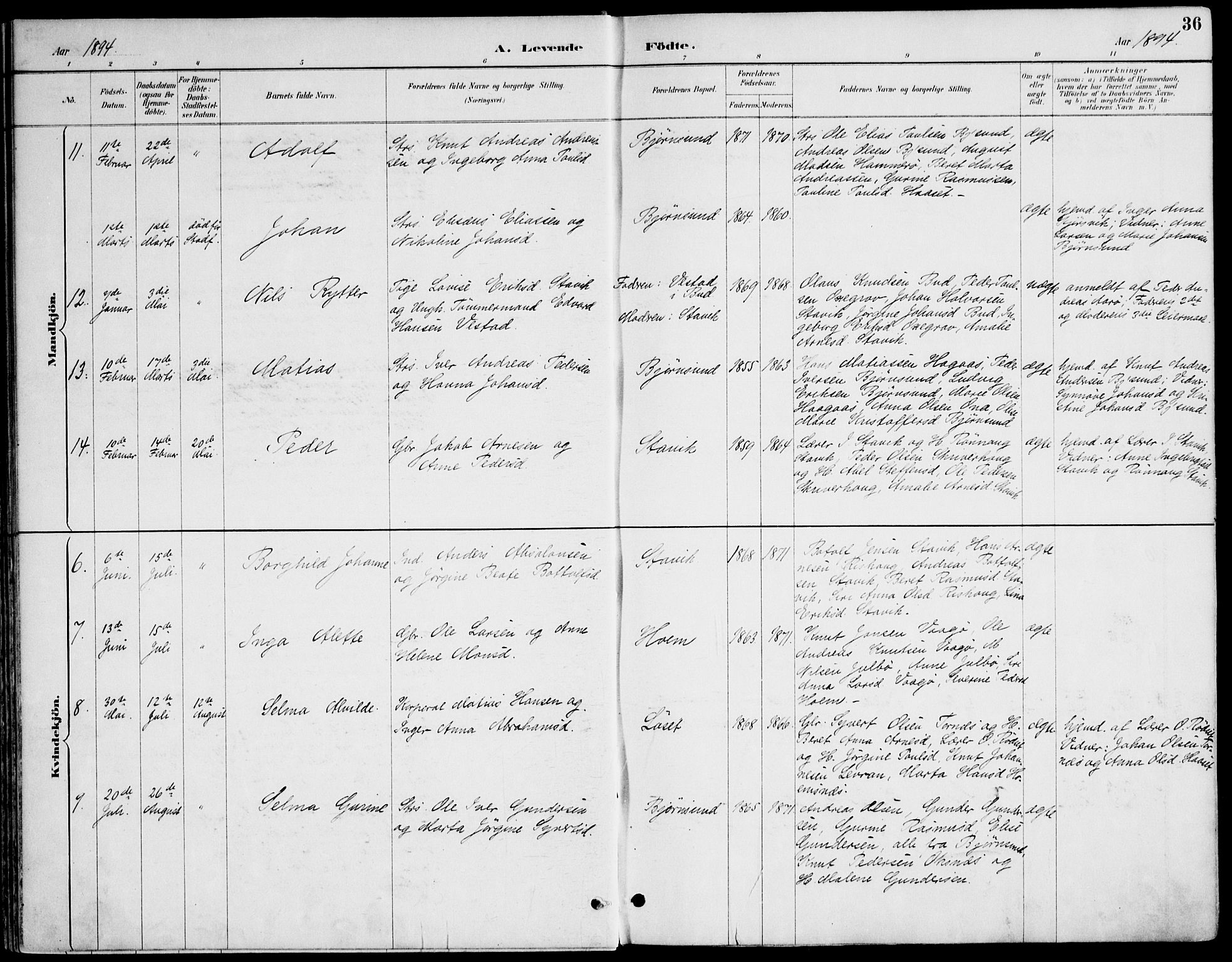 Ministerialprotokoller, klokkerbøker og fødselsregistre - Møre og Romsdal, AV/SAT-A-1454/565/L0750: Parish register (official) no. 565A04, 1887-1905, p. 36