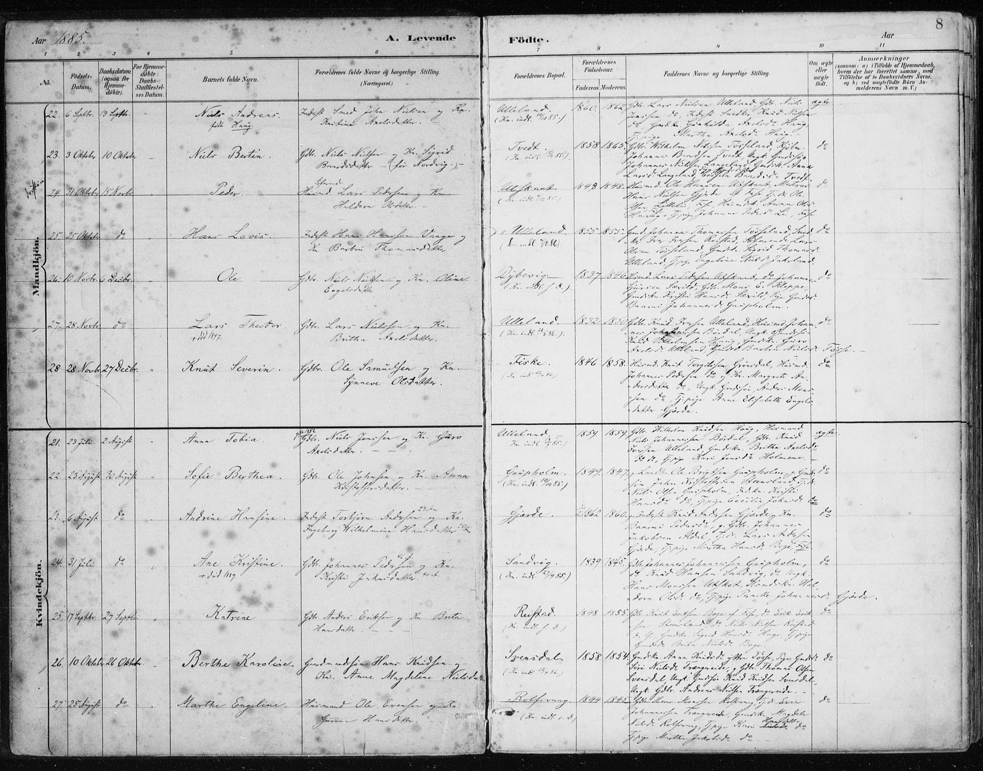 Samnanger Sokneprestembete, SAB/A-77501/H/Haa: Parish register (official) no. A 1, 1885-1901, p. 8