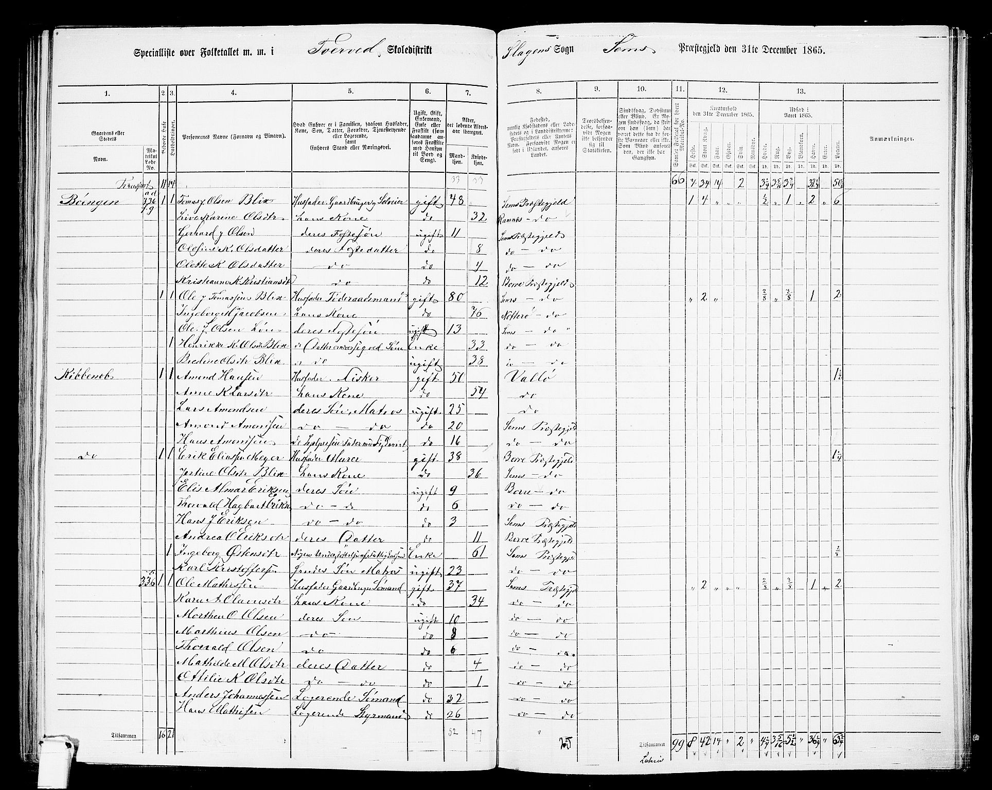 RA, 1865 census for Sem, 1865, p. 145