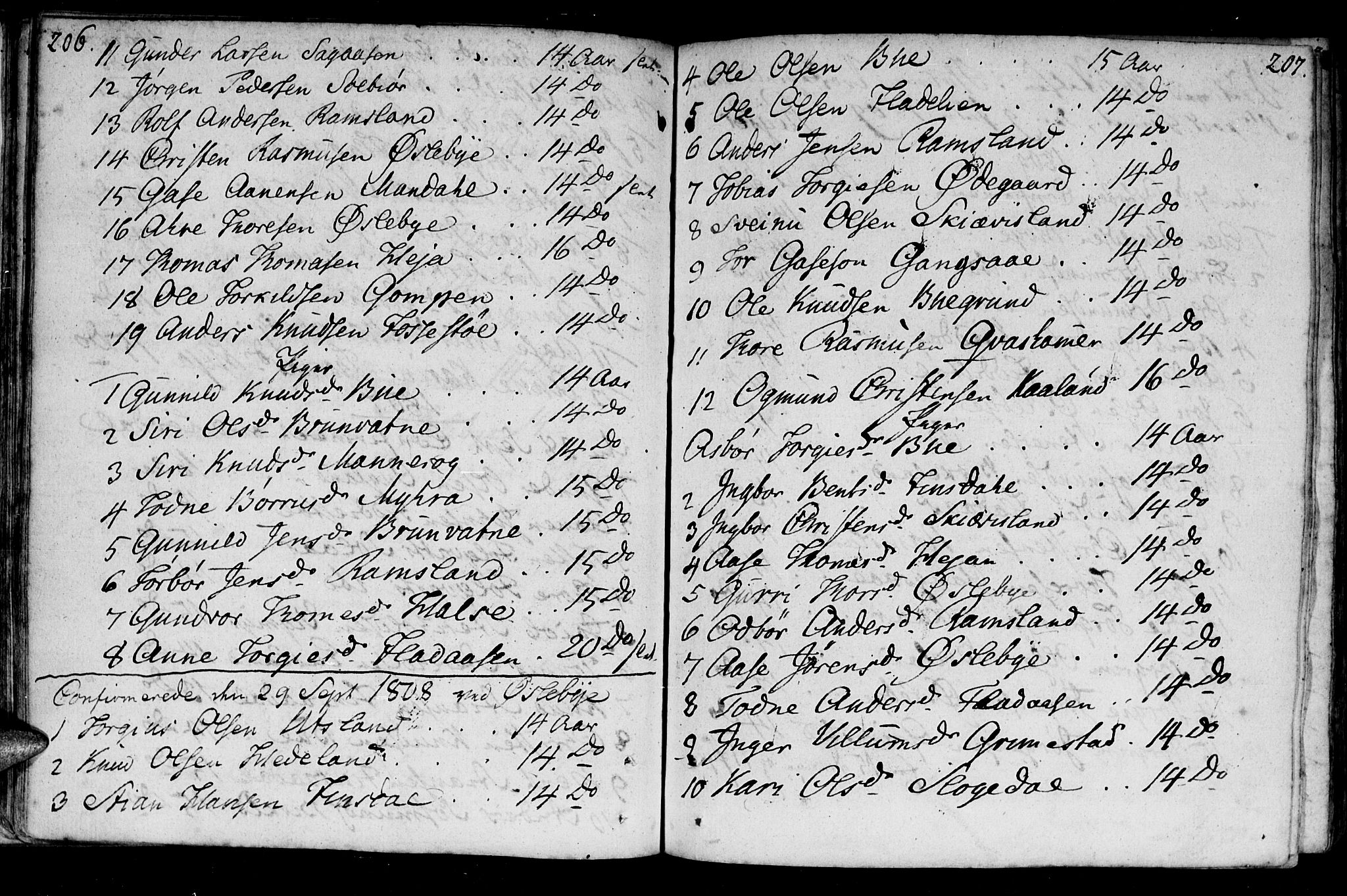 Holum sokneprestkontor, SAK/1111-0022/F/Fa/Fac/L0001: Parish register (official) no. A 1, 1773-1820, p. 206-207