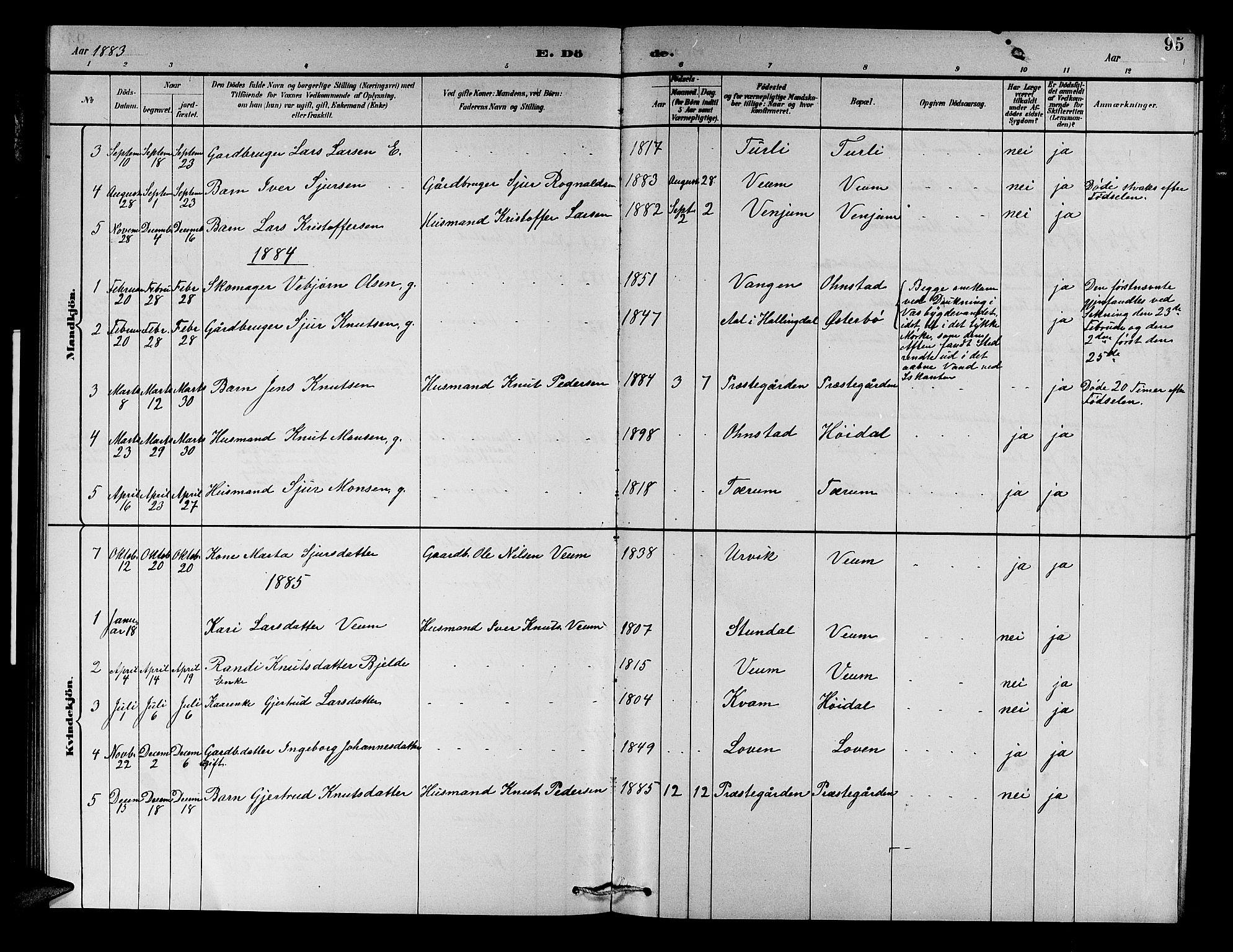 Aurland sokneprestembete, SAB/A-99937/H/Hb/Hba/L0002: Parish register (copy) no. A 2, 1880-1895, p. 95