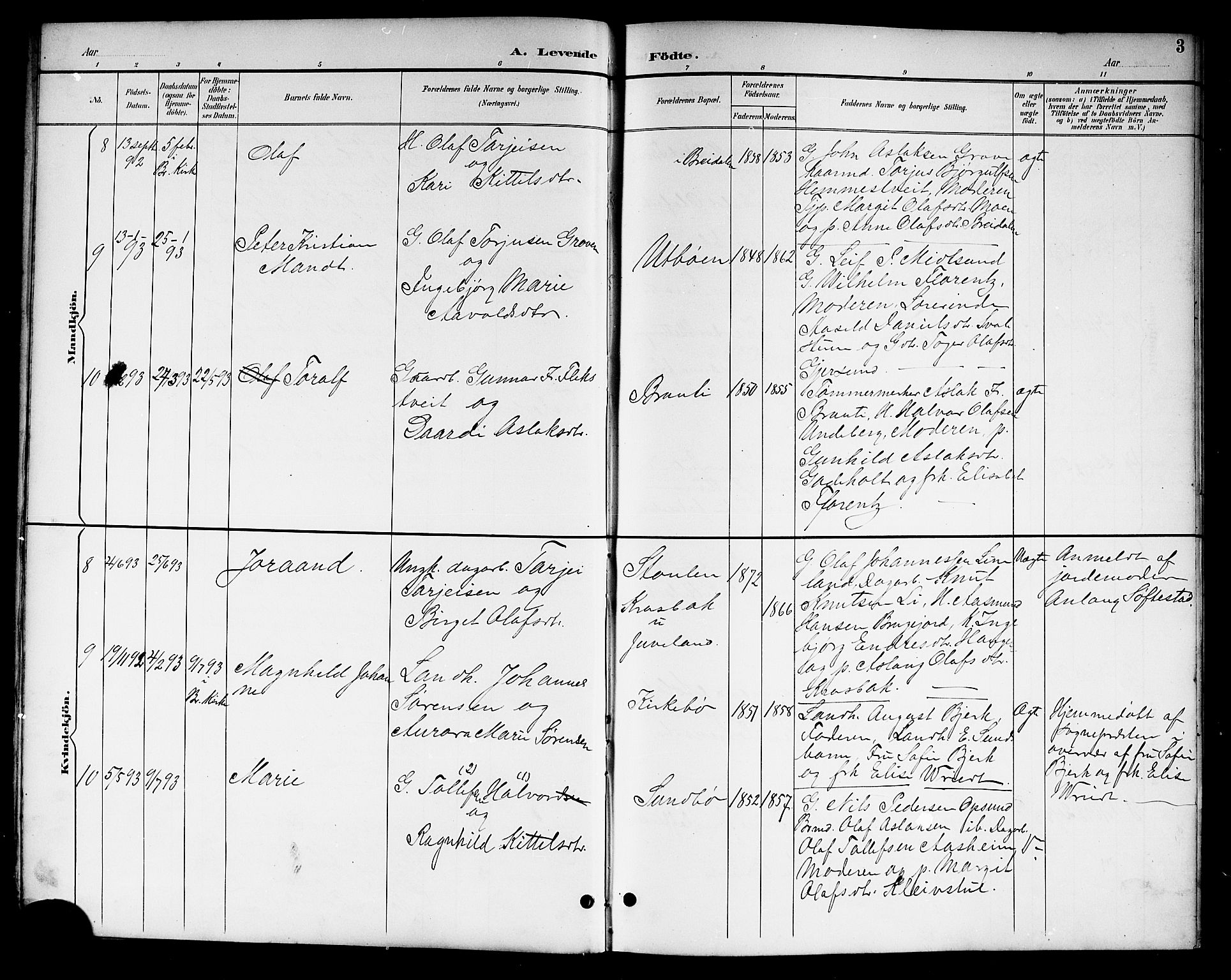 Kviteseid kirkebøker, SAKO/A-276/G/Ga/L0002: Parish register (copy) no. I 2, 1893-1918, p. 3