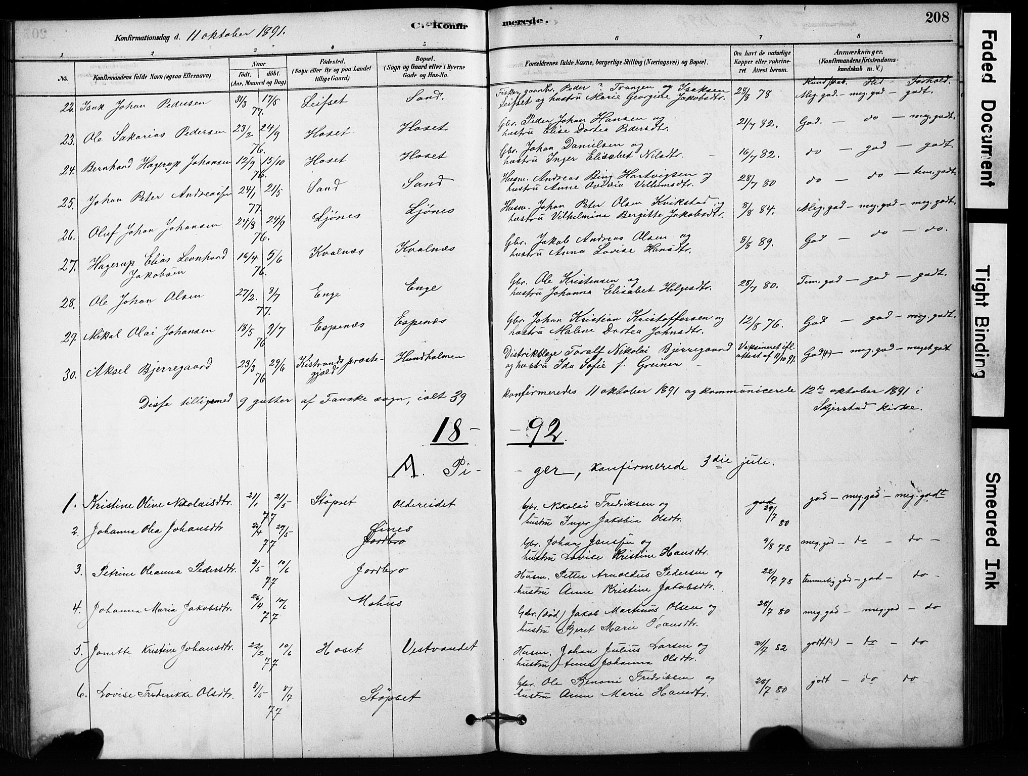 Ministerialprotokoller, klokkerbøker og fødselsregistre - Nordland, AV/SAT-A-1459/852/L0754: Parish register (copy) no. 852C05, 1878-1894, p. 208