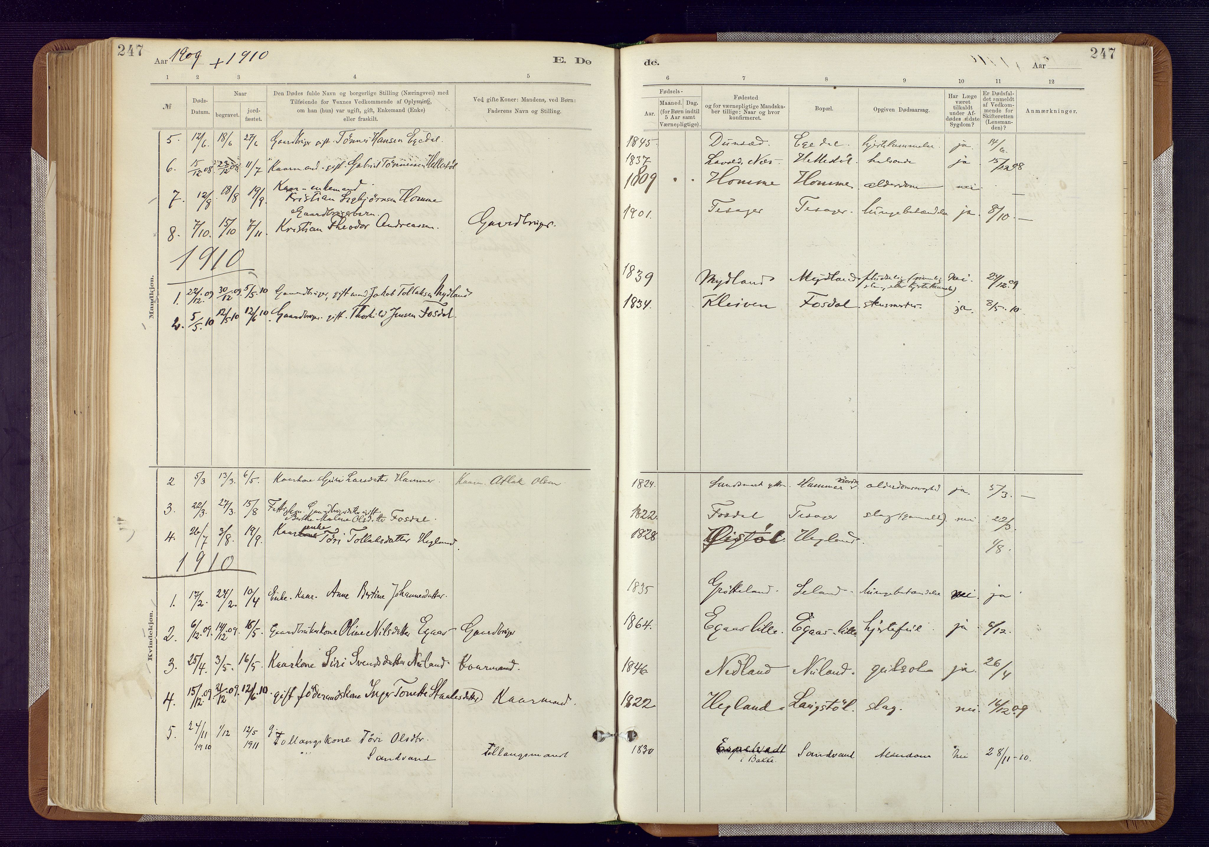 Bakke sokneprestkontor, SAK/1111-0002/F/Fa/Fab/L0003: Parish register (official) no. A 3, 1884-1921, p. 247