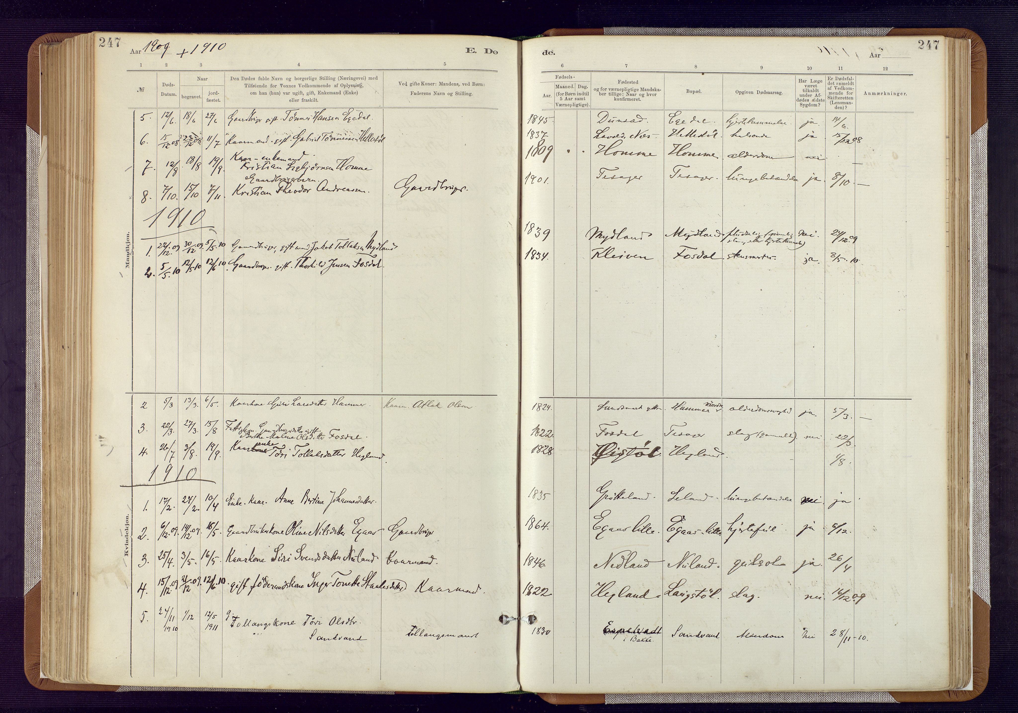 Bakke sokneprestkontor, AV/SAK-1111-0002/F/Fa/Fab/L0003: Parish register (official) no. A 3, 1884-1921, p. 247