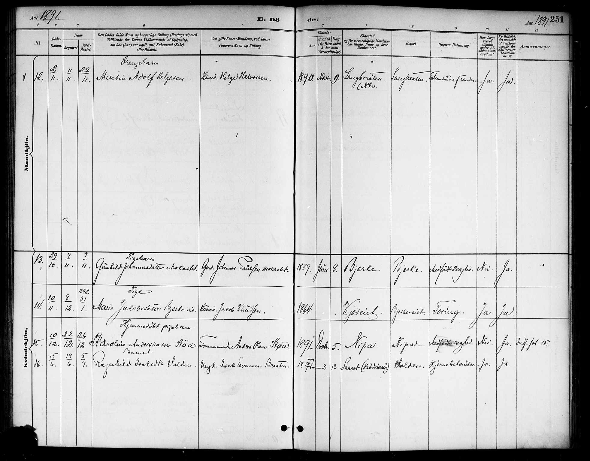 Lunder kirkebøker, AV/SAKO-A-629/G/Ga/L0004: Parish register (copy) no. I 4, 1889-1917, p. 251