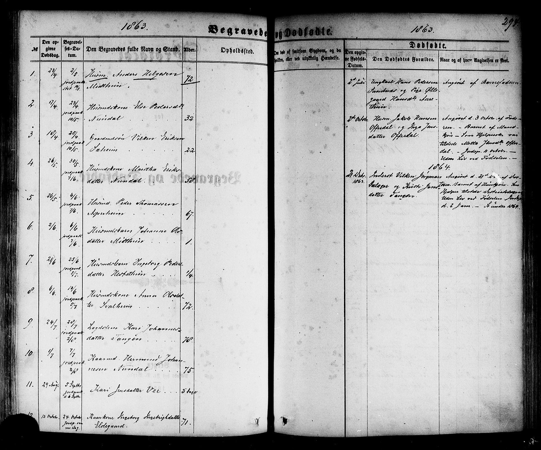Årdal sokneprestembete, SAB/A-81701: Parish register (official) no. A 3, 1863-1886, p. 294
