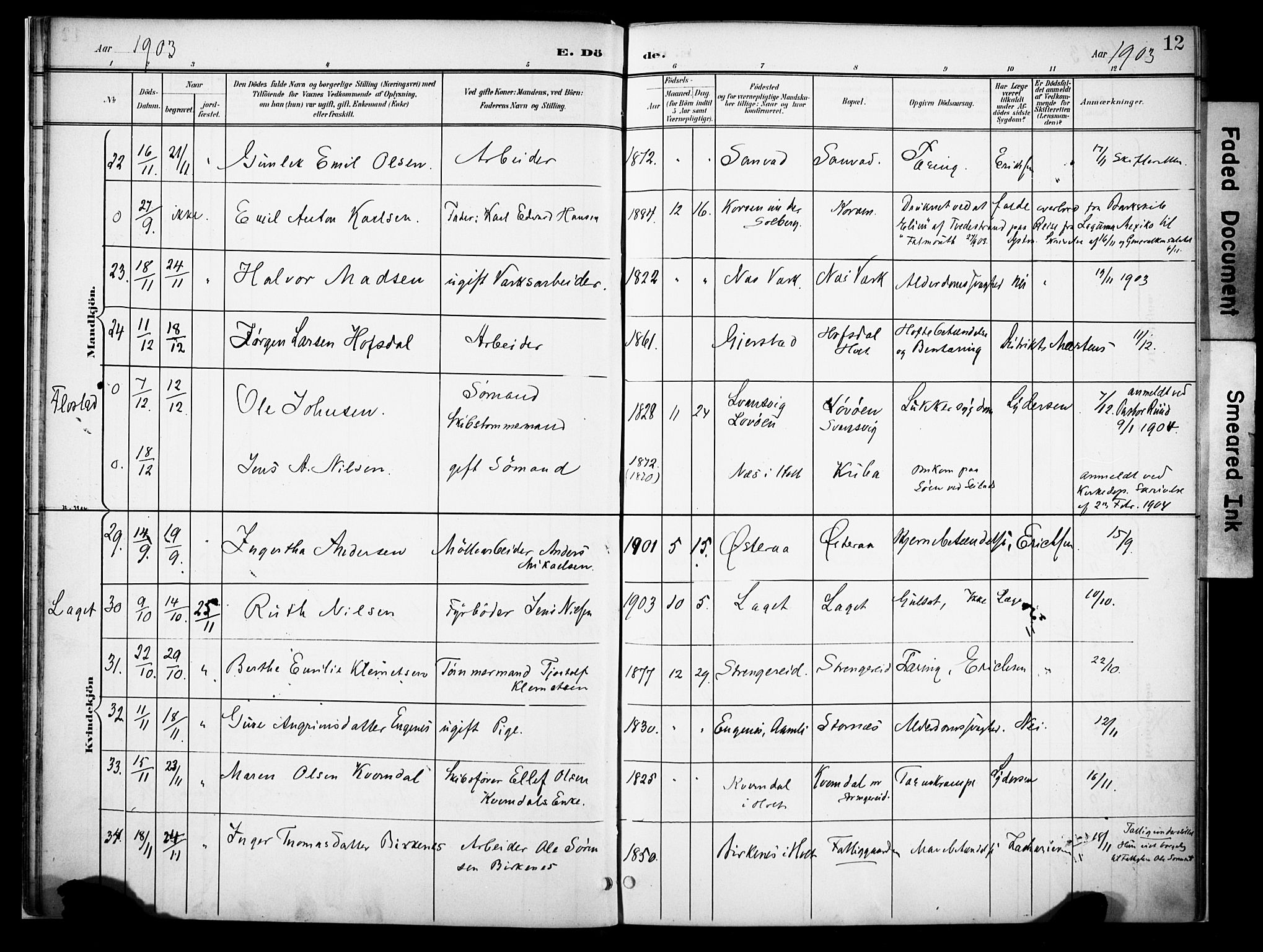 Holt sokneprestkontor, AV/SAK-1111-0021/F/Fa/L0013: Parish register (official) no. A 13, 1900-1912, p. 12