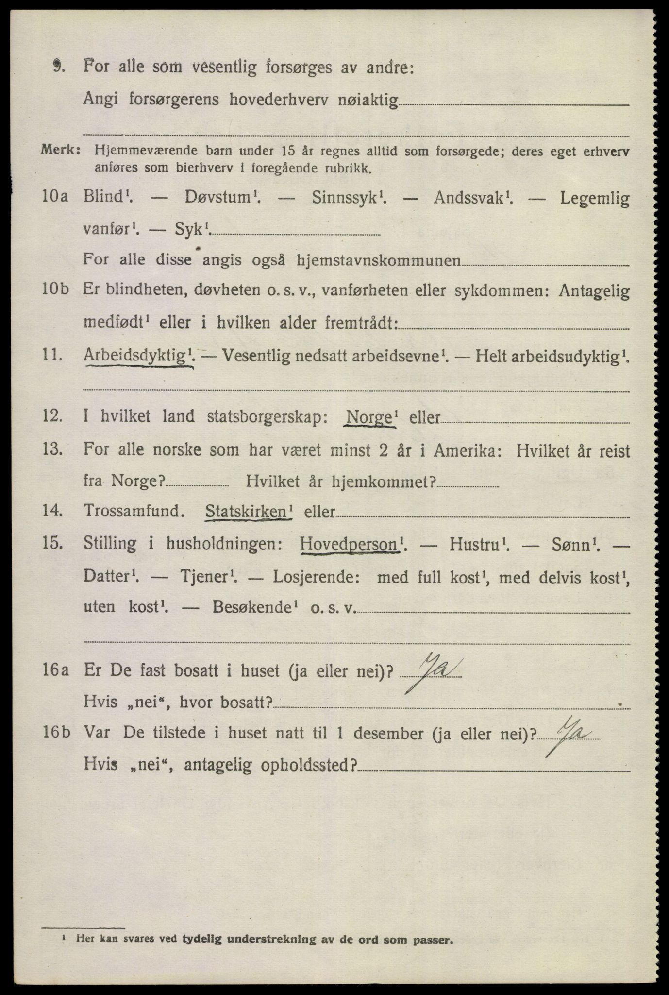 SAKO, 1920 census for Hemsedal, 1920, p. 1719