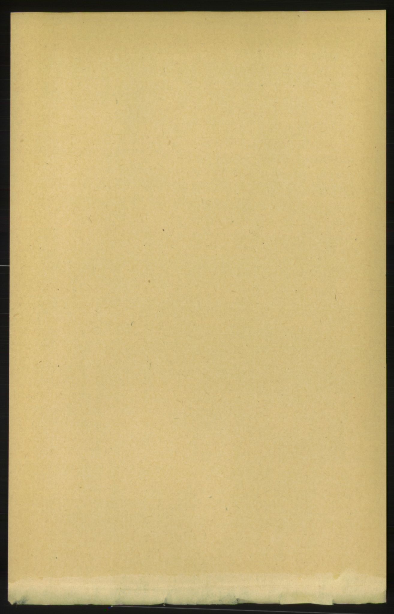 RA, 1891 census for 1566 Surnadal, 1891, p. 782