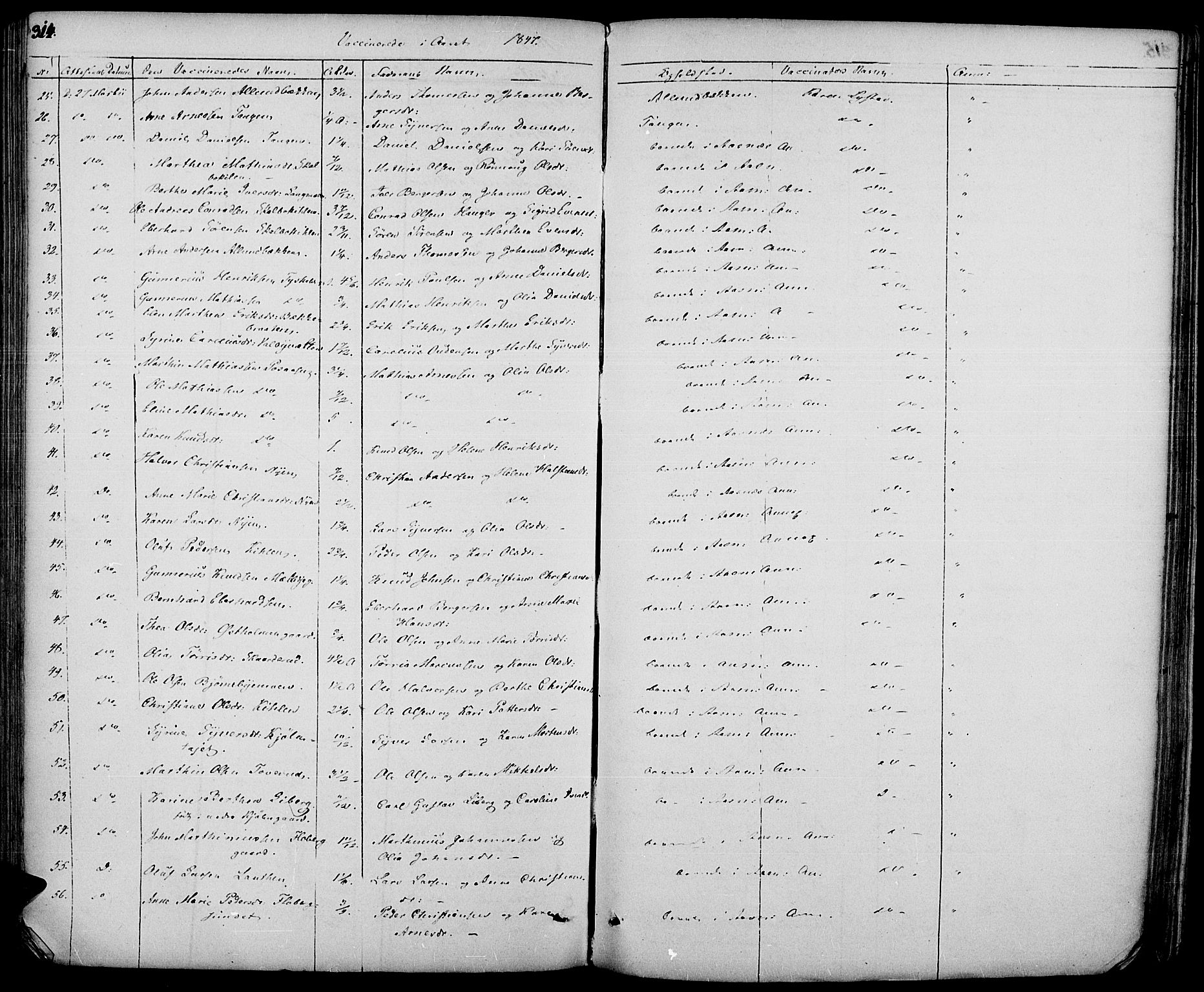 Hof prestekontor, AV/SAH-PREST-038/H/Ha/Haa/L0007: Parish register (official) no. 7, 1841-1848, p. 314