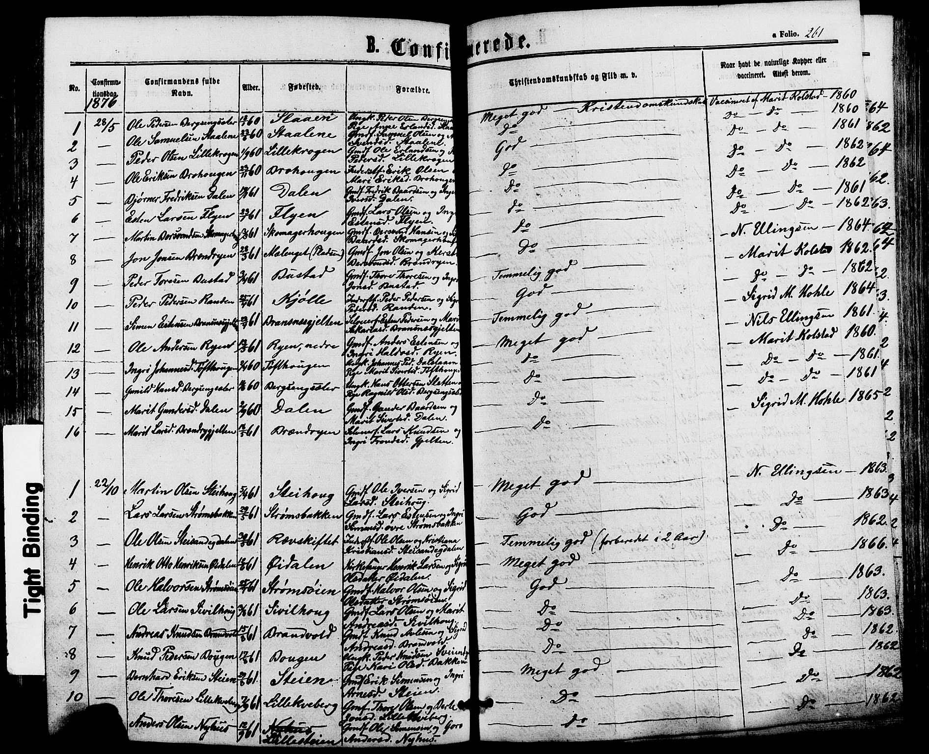 Alvdal prestekontor, SAH/PREST-060/H/Ha/Haa/L0001: Parish register (official) no. 1, 1863-1882, p. 261
