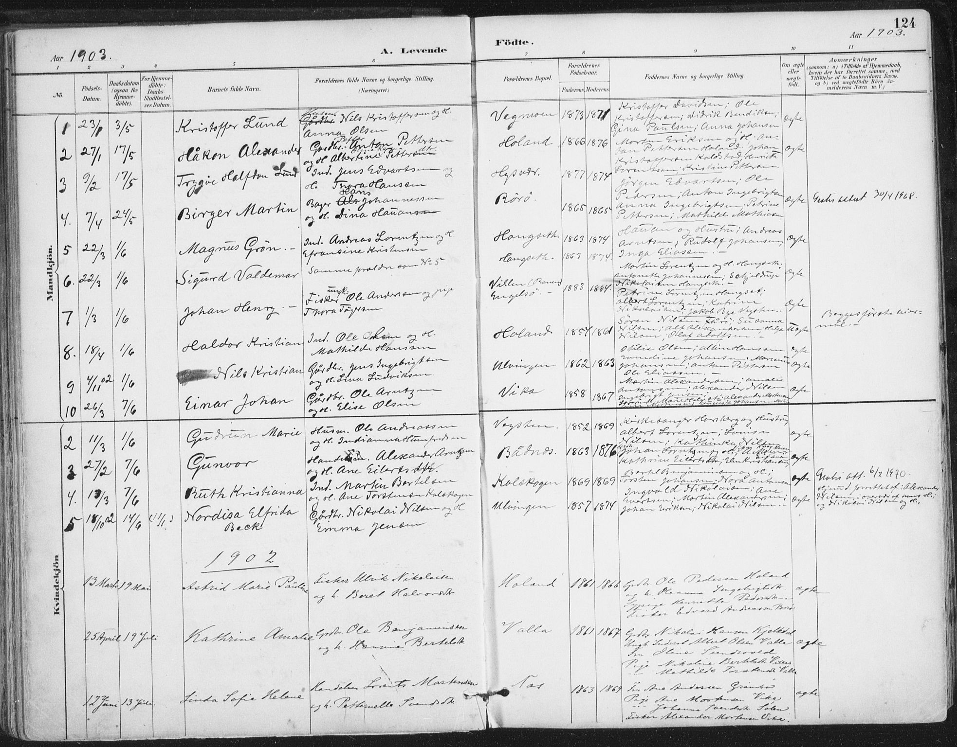 Ministerialprotokoller, klokkerbøker og fødselsregistre - Nordland, AV/SAT-A-1459/816/L0244: Parish register (official) no. 816A10, 1886-1903, p. 124