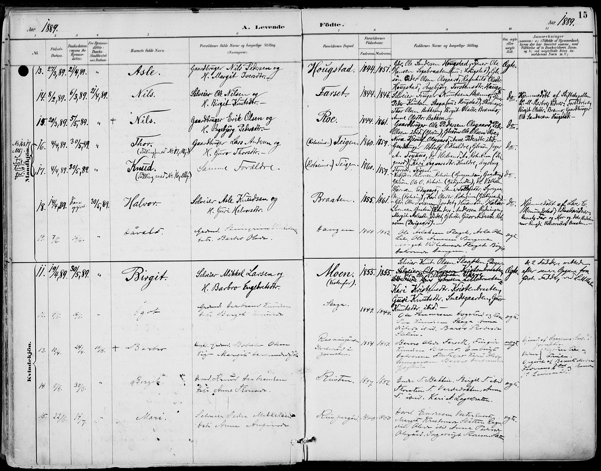 Gol kirkebøker, AV/SAKO-A-226/F/Fa/L0005: Parish register (official) no. I 5, 1887-1900, p. 15