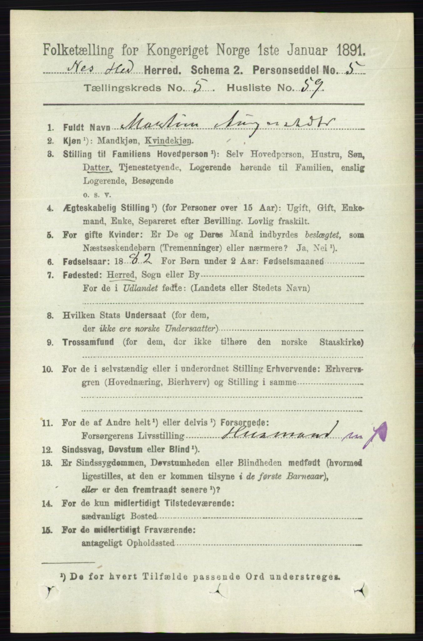 RA, 1891 census for 0411 Nes, 1891, p. 2983