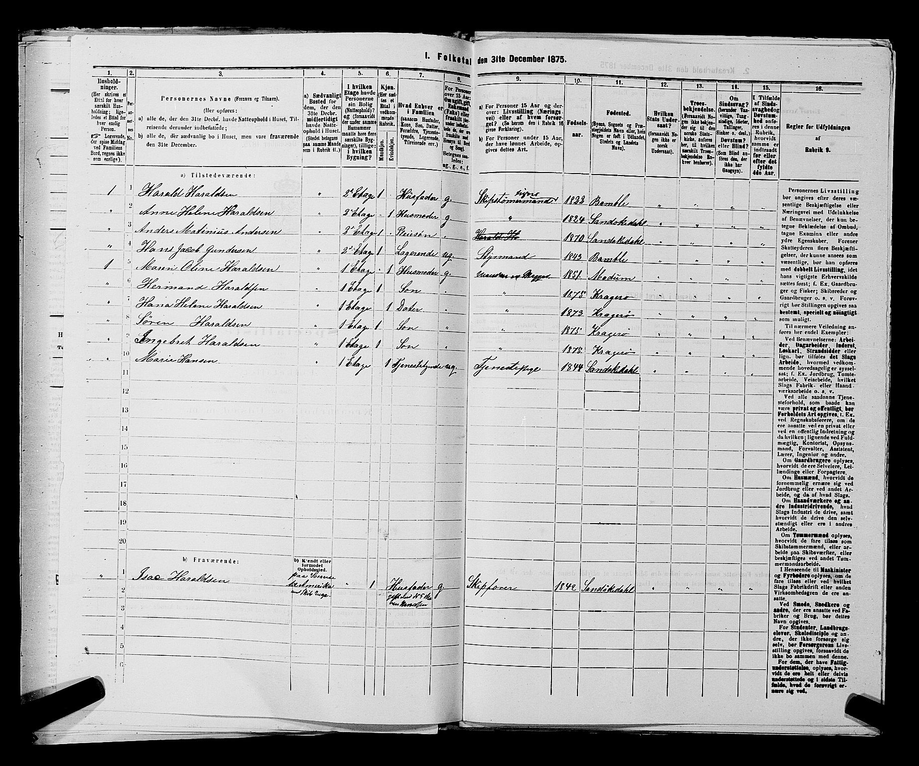 SAKO, 1875 census for 0801P Kragerø, 1875, p. 1080