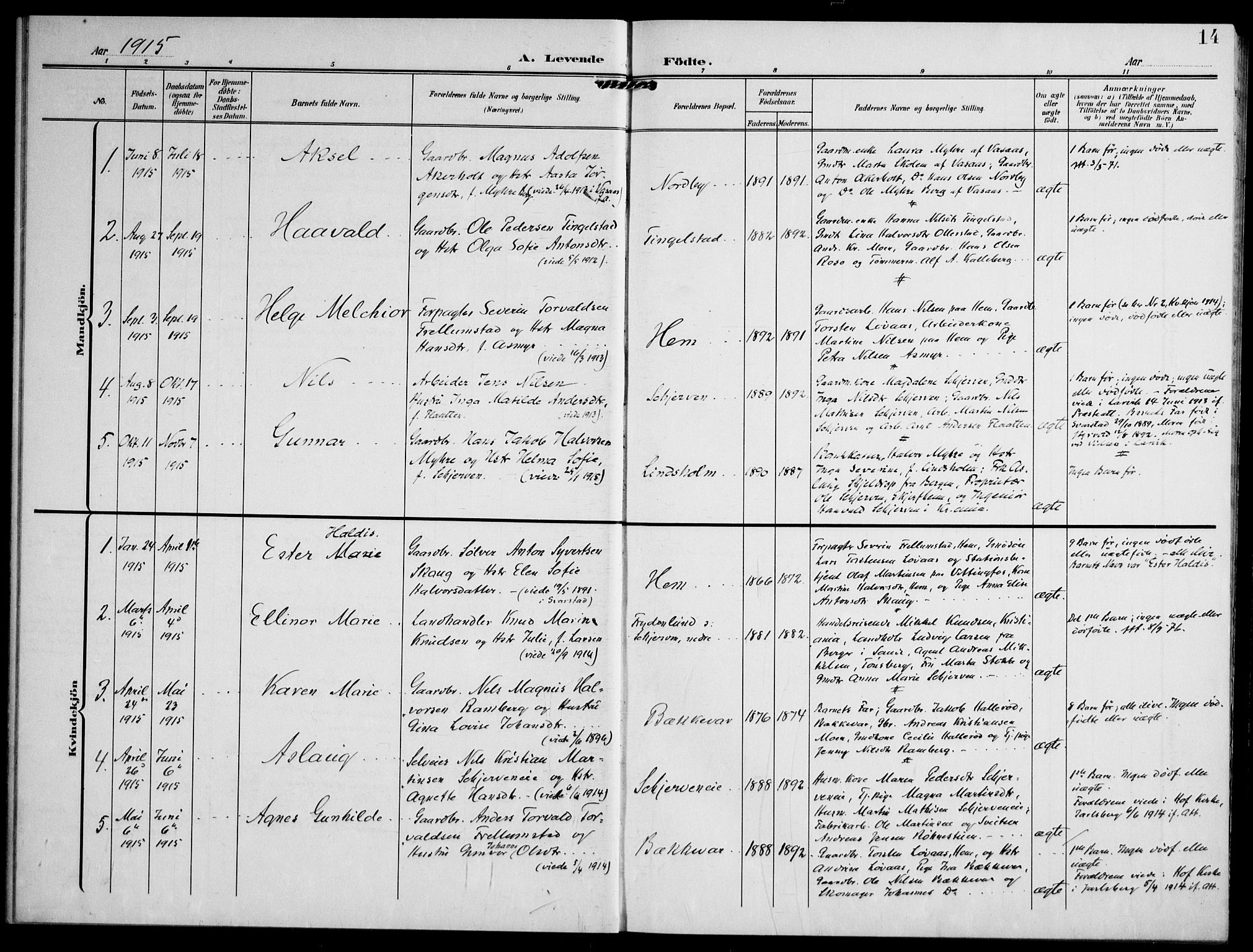 Lardal kirkebøker, SAKO/A-350/F/Fc/L0002: Parish register (official) no. III 2, 1907-1921, p. 14