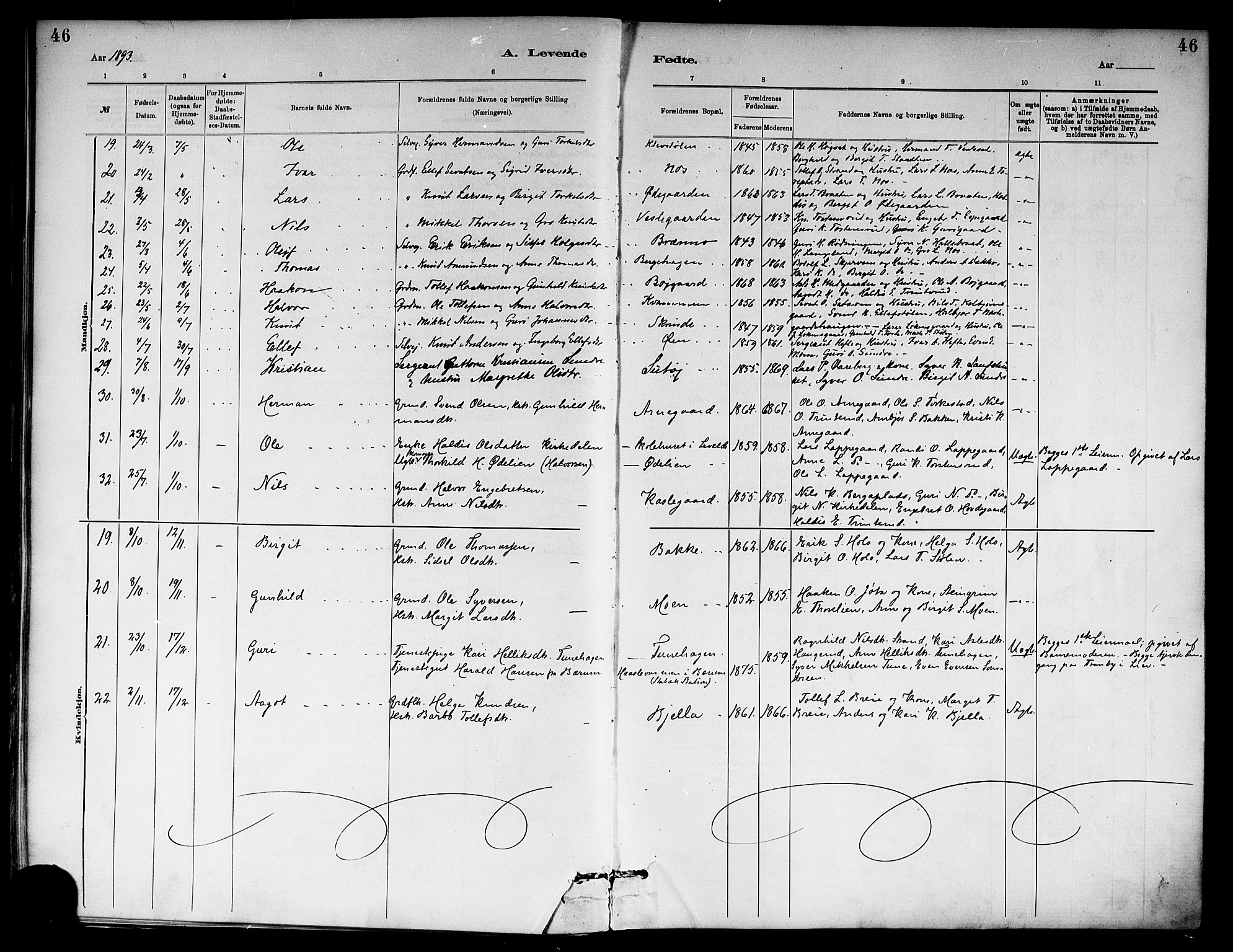 Ål kirkebøker, SAKO/A-249/F/Fa/L0008: Parish register (official) no. I 8, 1882-1896, p. 46