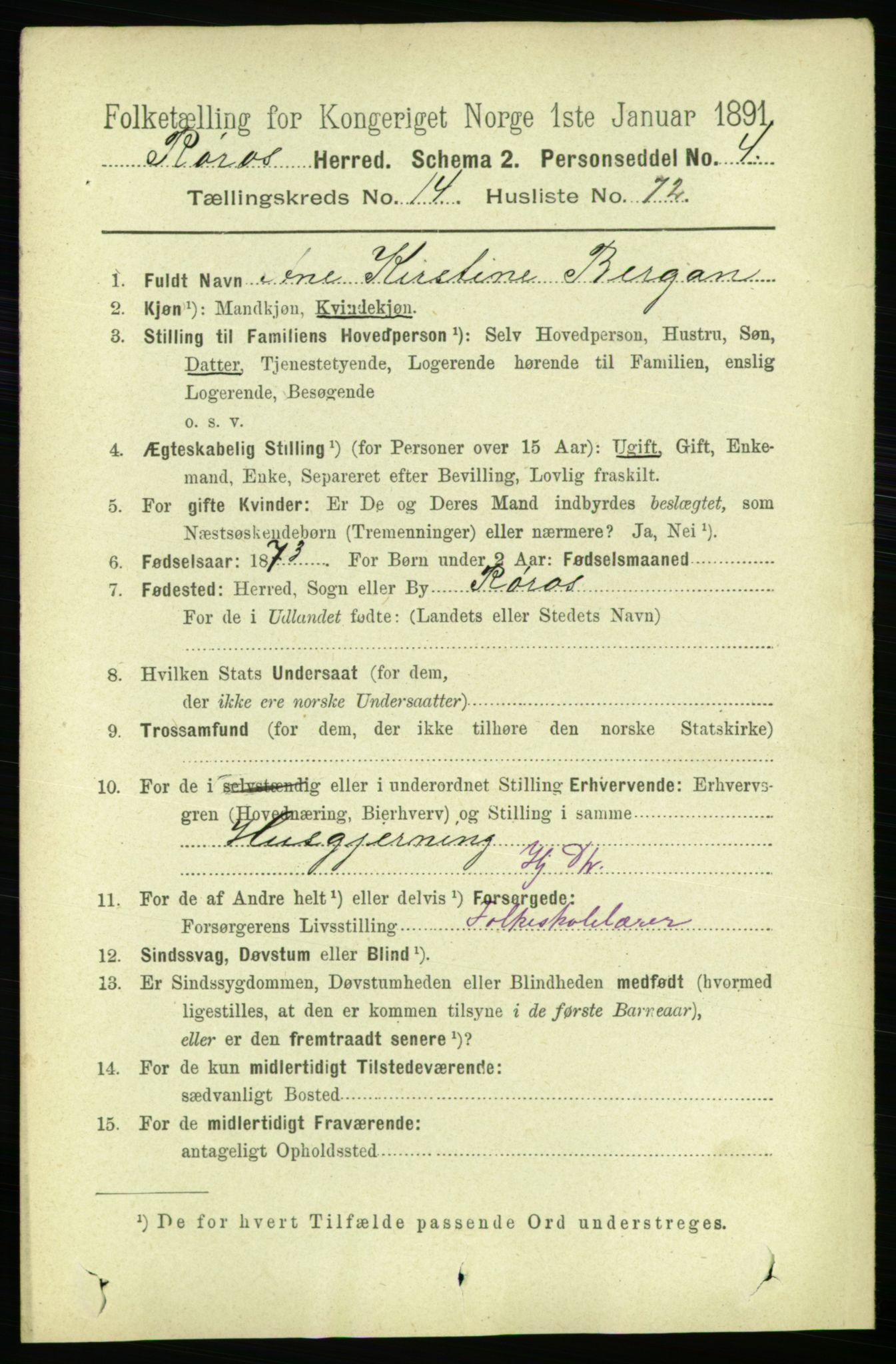 RA, 1891 census for 1640 Røros, 1891, p. 3255