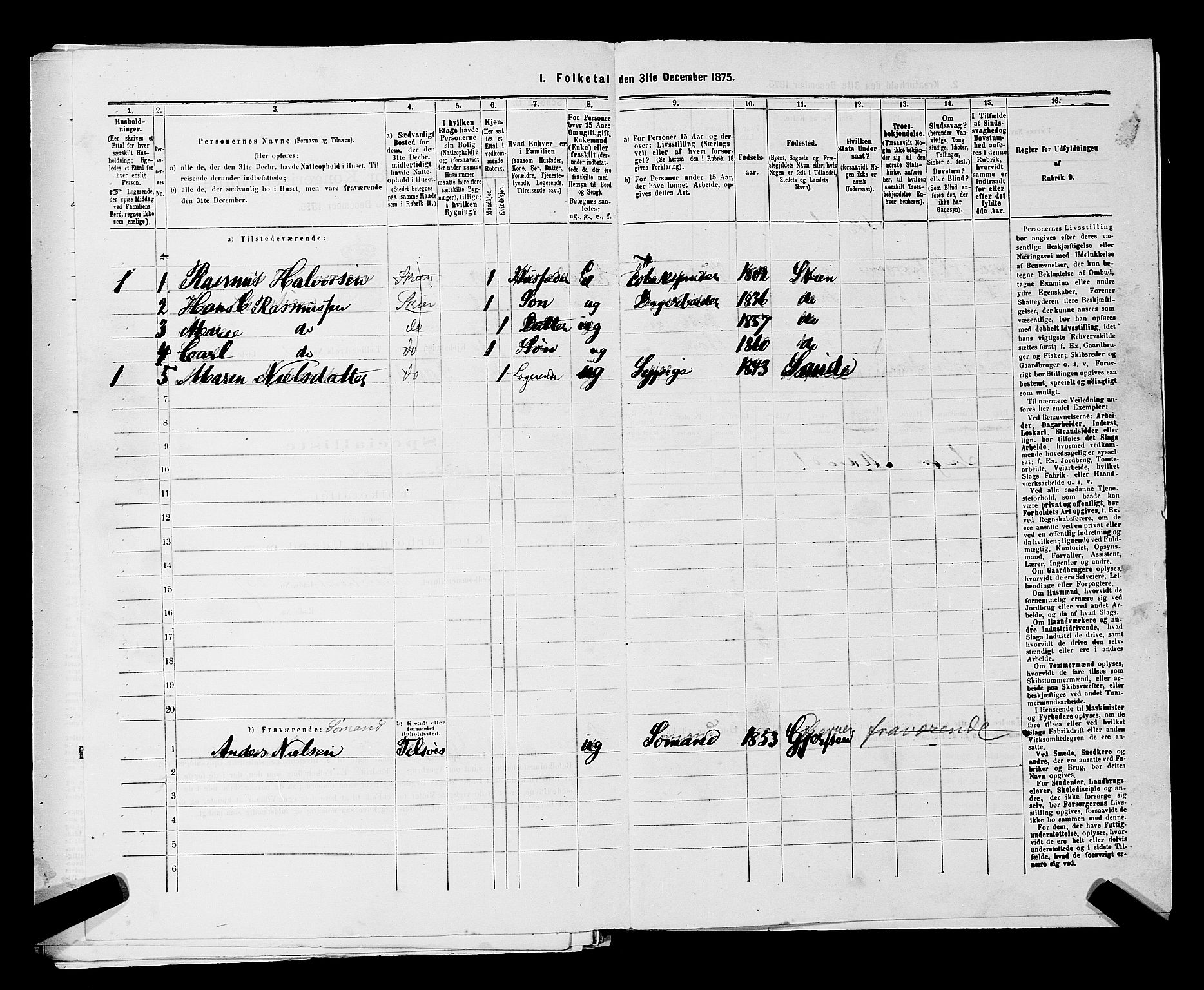 SAKO, 1875 census for 0806P Skien, 1875, p. 243