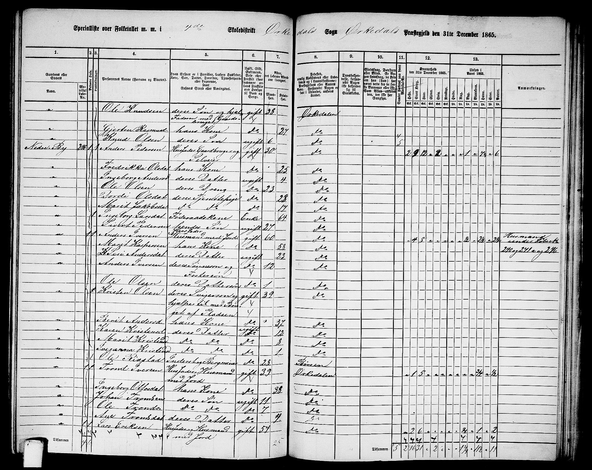 RA, 1865 census for Orkdal, 1865, p. 229