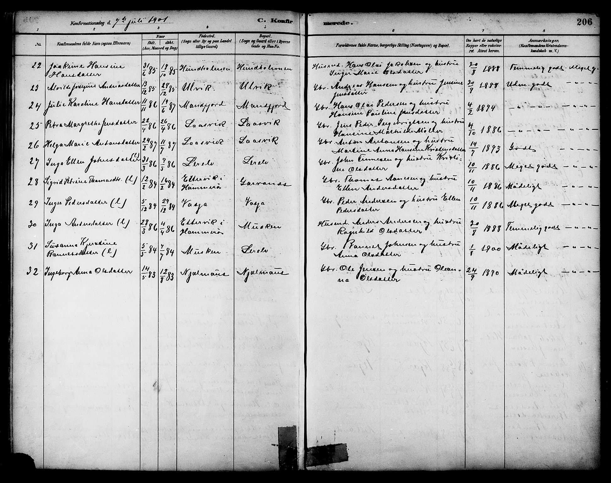 Ministerialprotokoller, klokkerbøker og fødselsregistre - Nordland, AV/SAT-A-1459/861/L0869: Parish register (official) no. 861A04, 1889-1903, p. 206