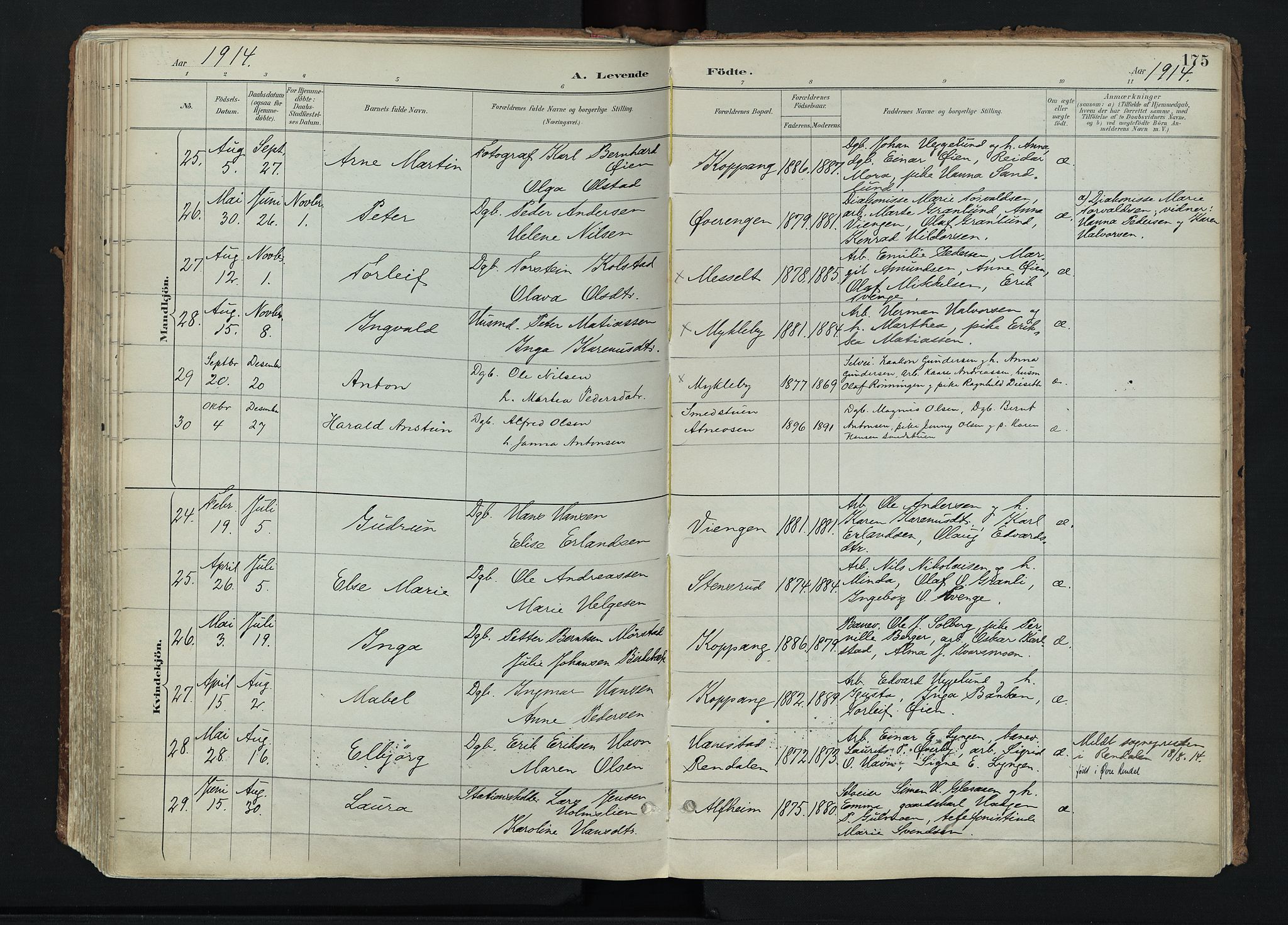 Stor-Elvdal prestekontor, AV/SAH-PREST-052/H/Ha/Haa/L0004: Parish register (official) no. 4, 1890-1922, p. 175