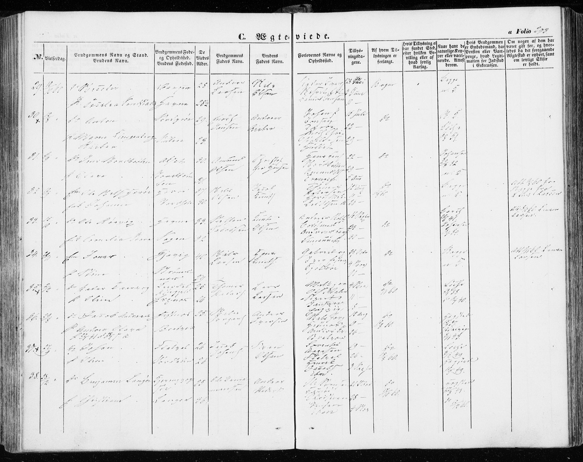 Ministerialprotokoller, klokkerbøker og fødselsregistre - Sør-Trøndelag, AV/SAT-A-1456/634/L0530: Parish register (official) no. 634A06, 1852-1860, p. 293