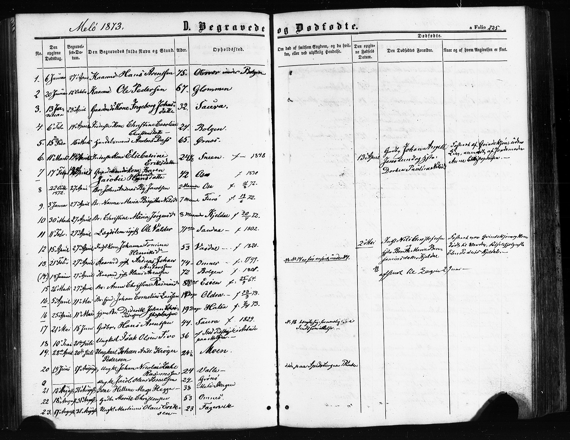 Ministerialprotokoller, klokkerbøker og fødselsregistre - Nordland, SAT/A-1459/841/L0607: Parish register (official) no. 841A11 /2, 1863-1877, p. 225