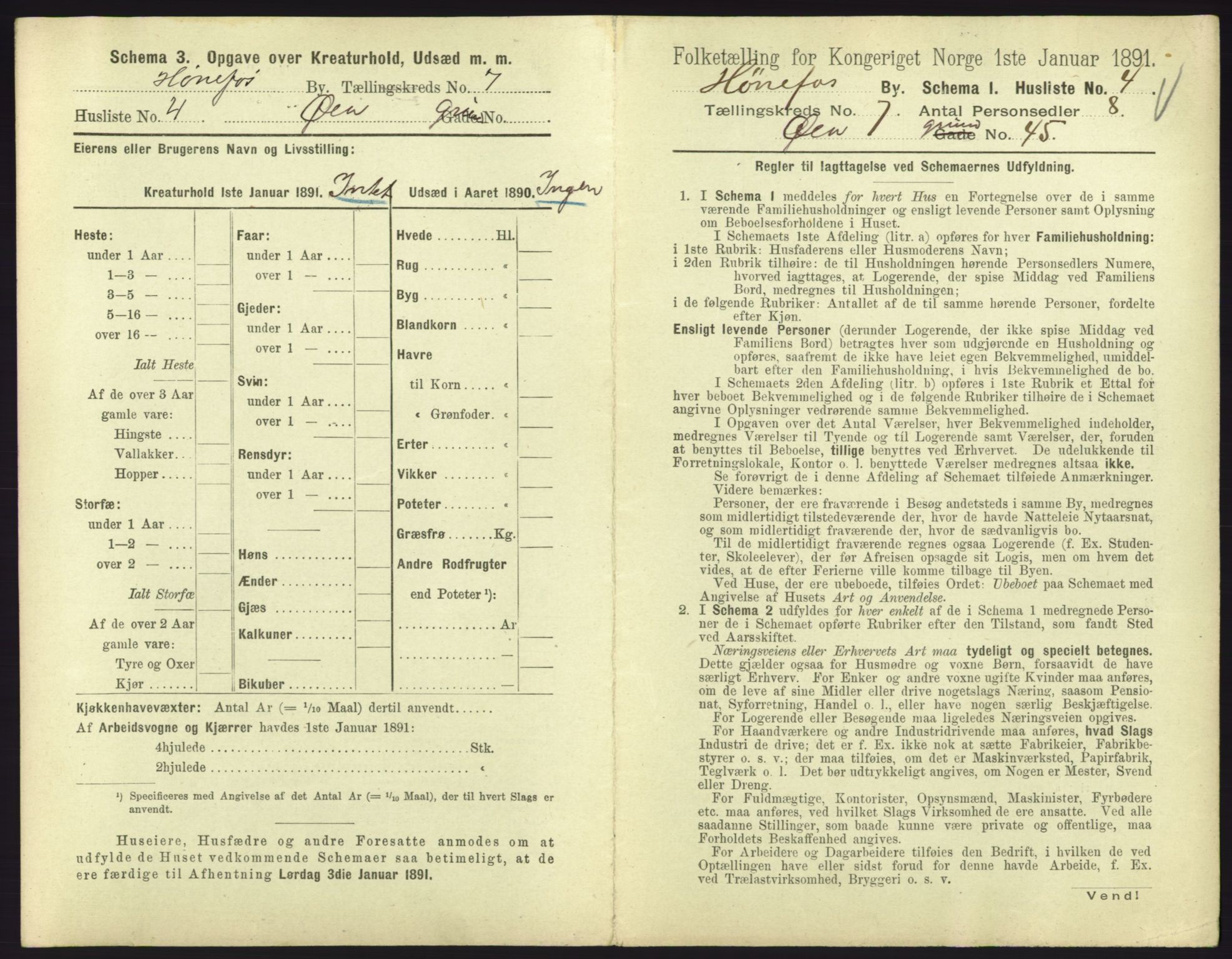 RA, 1891 census for 0601 Hønefoss, 1891, p. 195