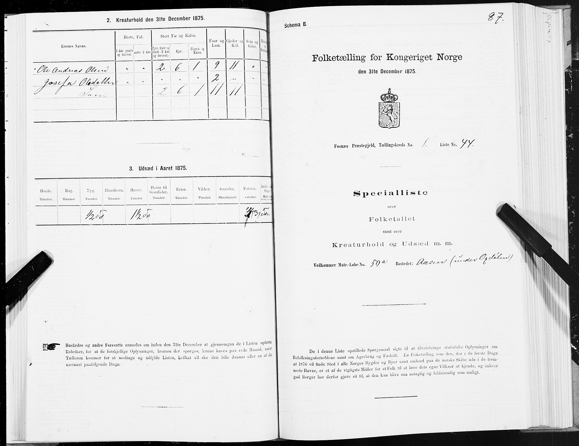 SAT, 1875 census for 1748P Fosnes, 1875, p. 3087
