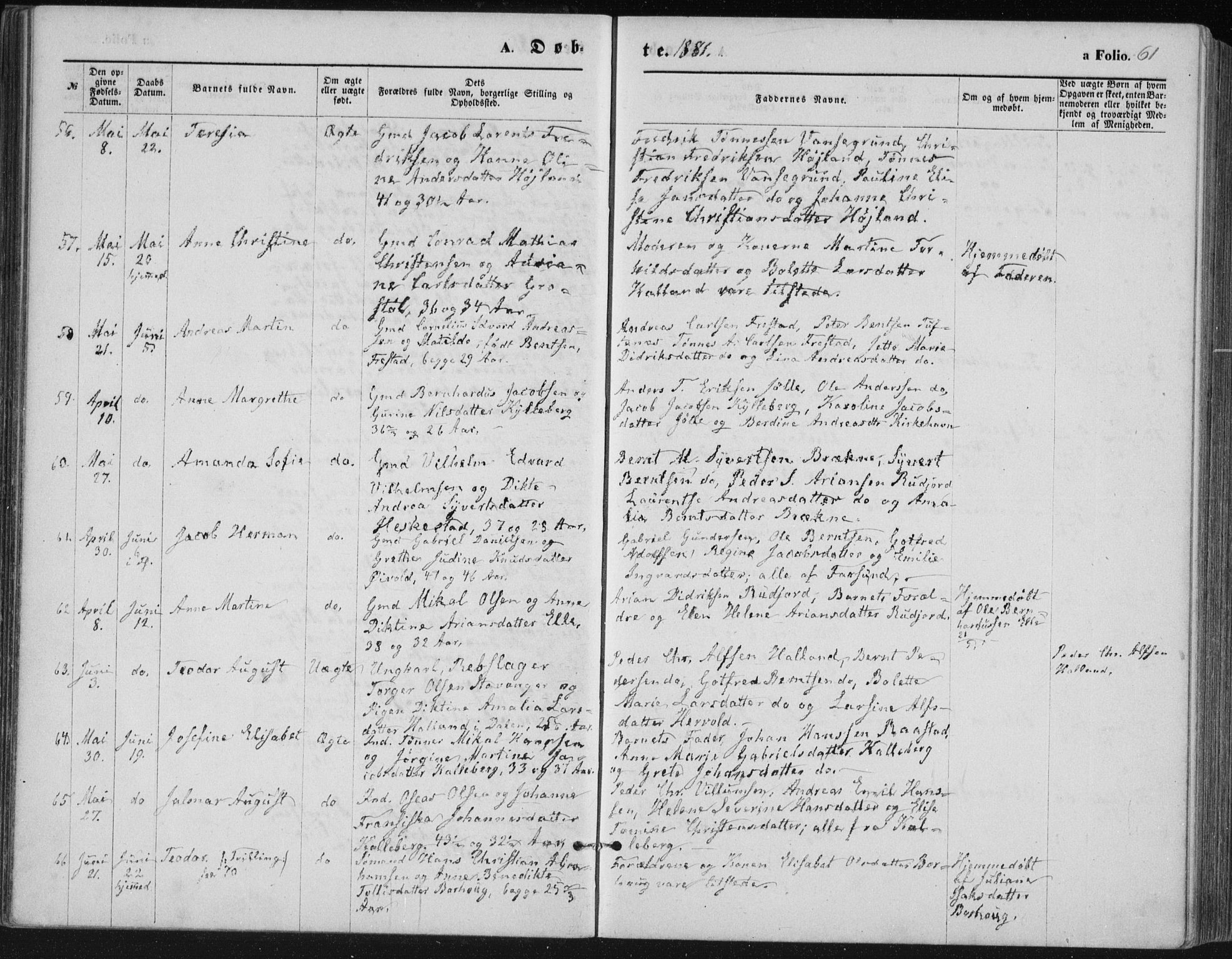 Lista sokneprestkontor, AV/SAK-1111-0027/F/Fb/L0004: Parish register (copy) no. B 4, 1877-1891, p. 61