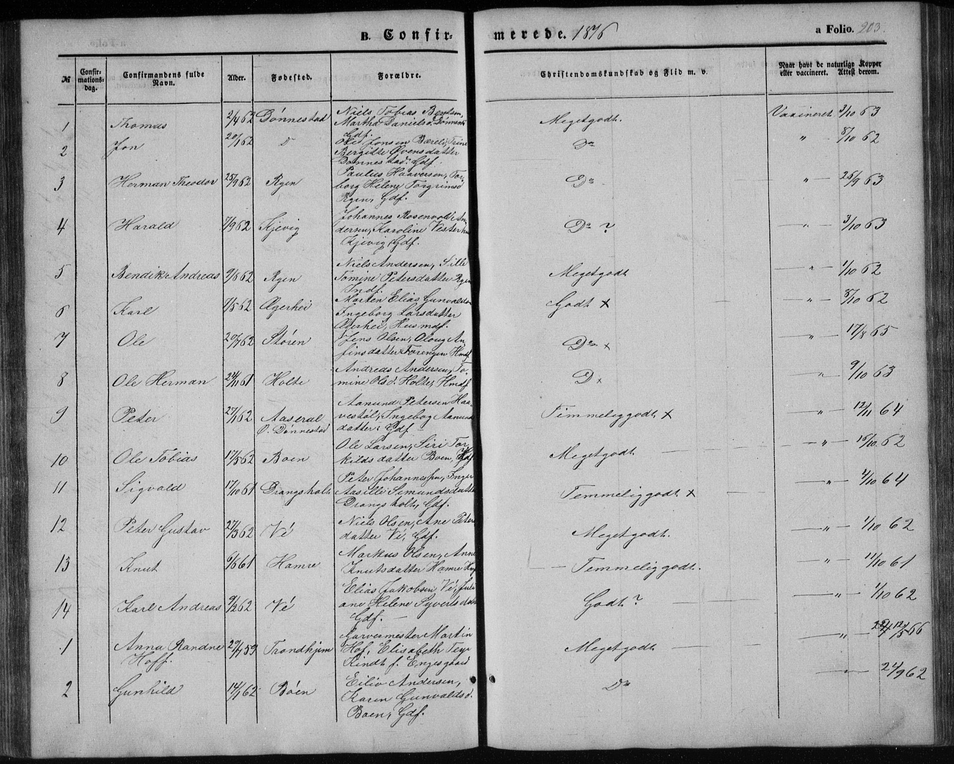 Tveit sokneprestkontor, AV/SAK-1111-0043/F/Fb/L0003: Parish register (copy) no. B 3, 1854-1886, p. 203