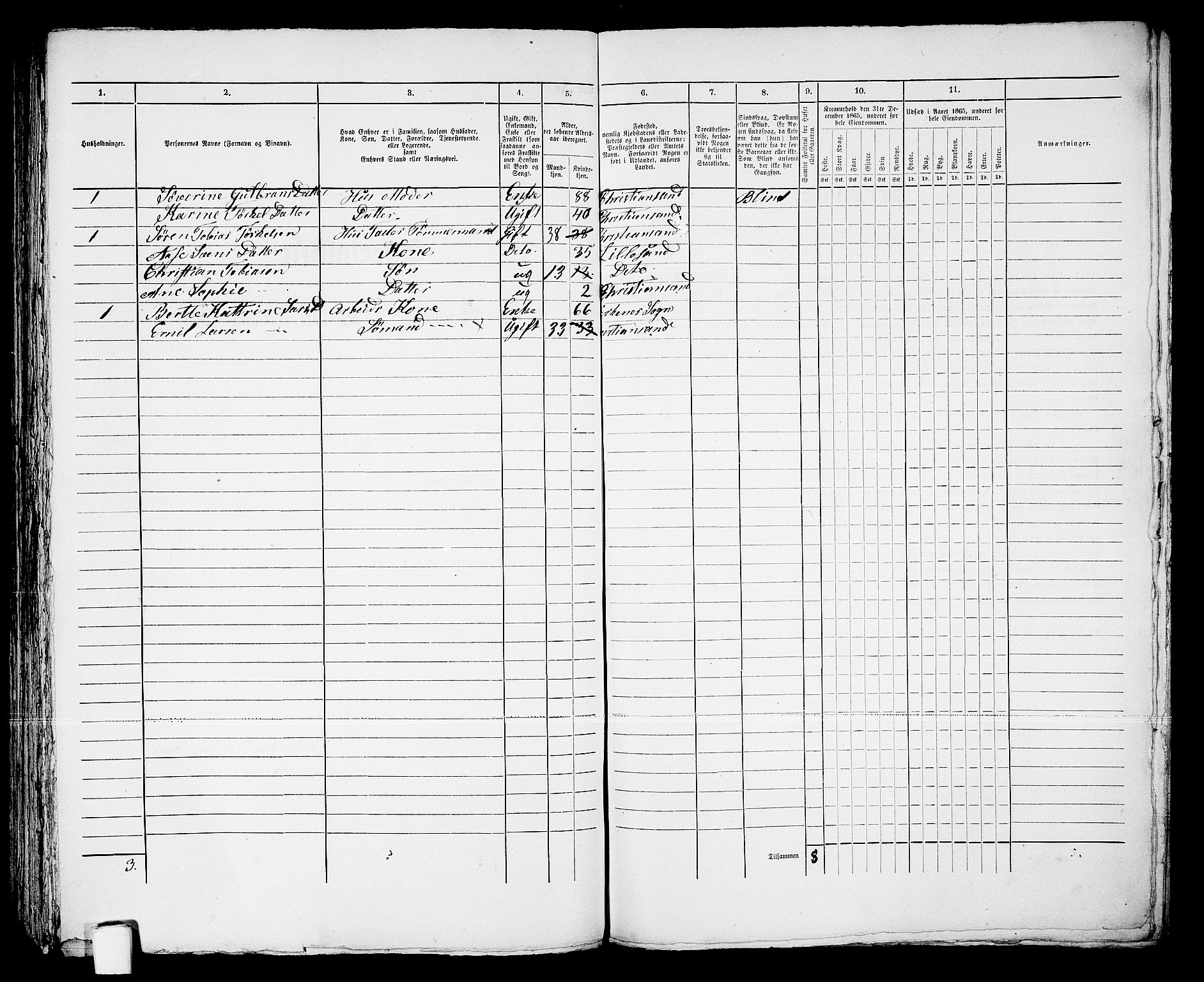 RA, 1865 census for Kristiansand, 1865, p. 951