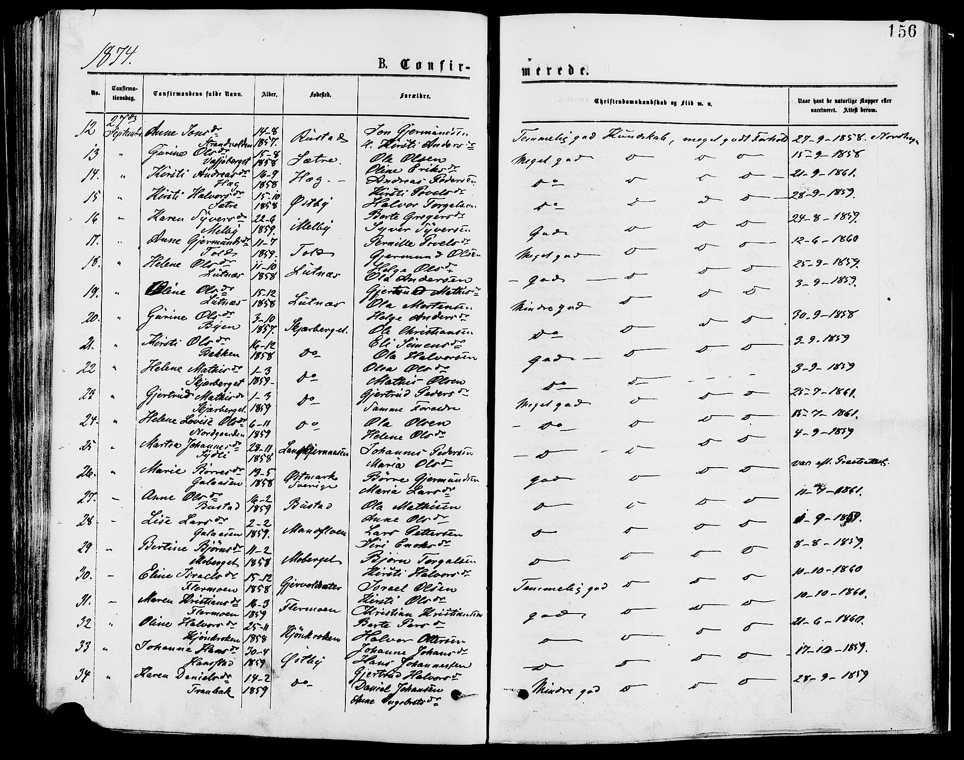 Trysil prestekontor, AV/SAH-PREST-046/H/Ha/Haa/L0007: Parish register (official) no. 7, 1874-1880, p. 156