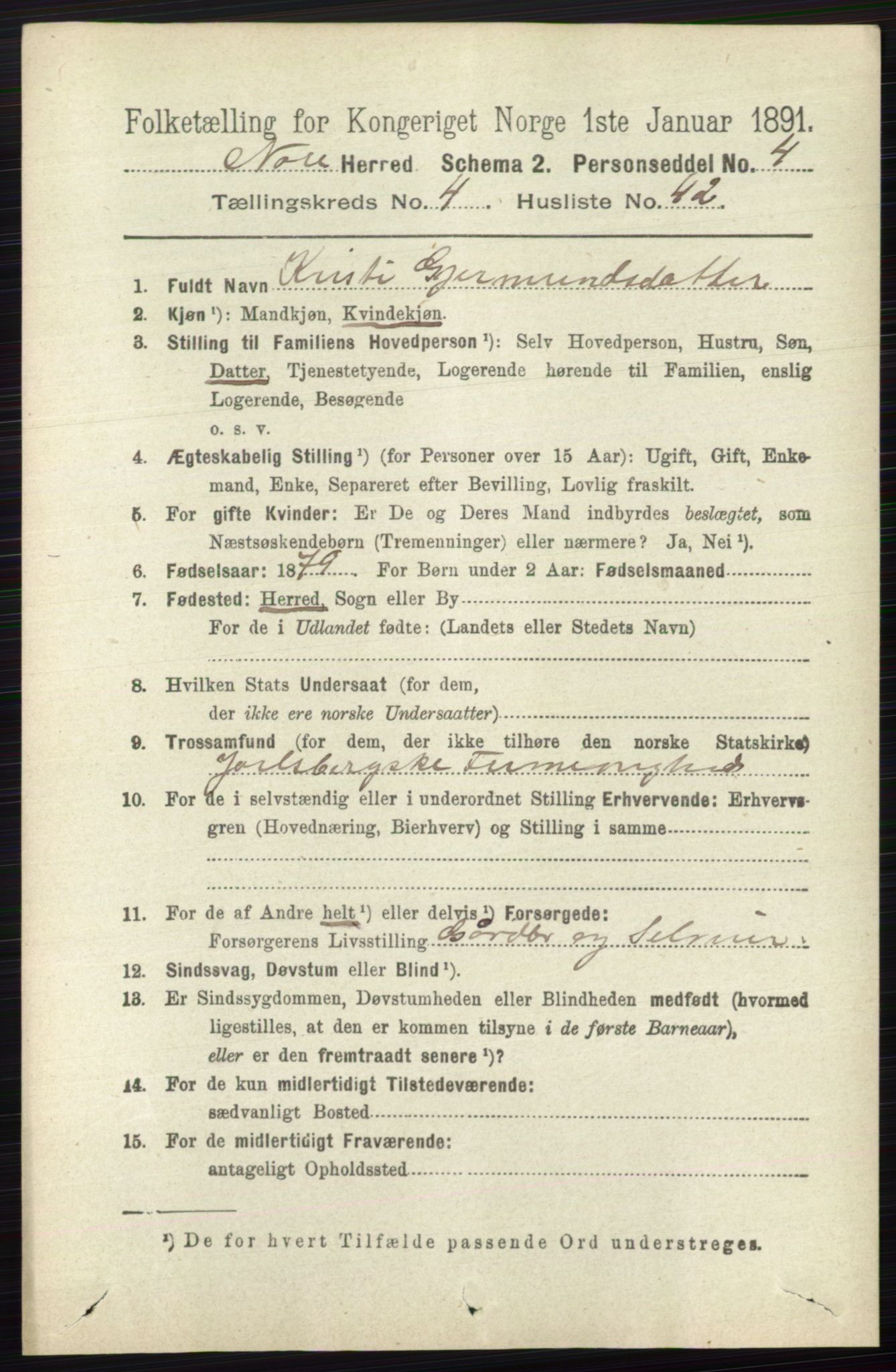 RA, 1891 census for 0633 Nore, 1891, p. 1514